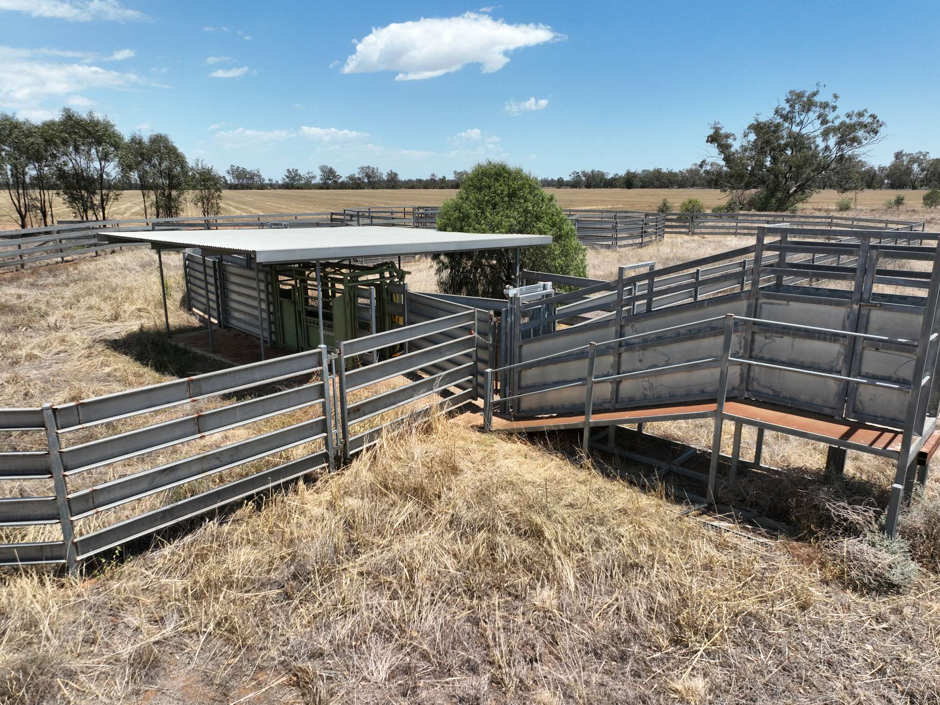 'The Pines' 211 Dicks Camp Road, Collie For Sale by Farmbuy.com - image 12