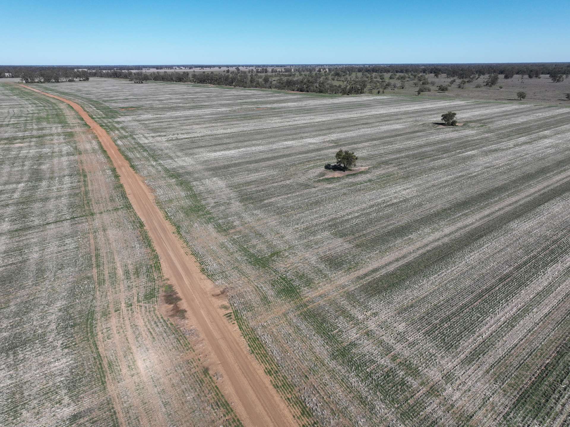 'The Pines' 211 Dicks Camp Road, Collie For Sale by Farmbuy.com - image 32