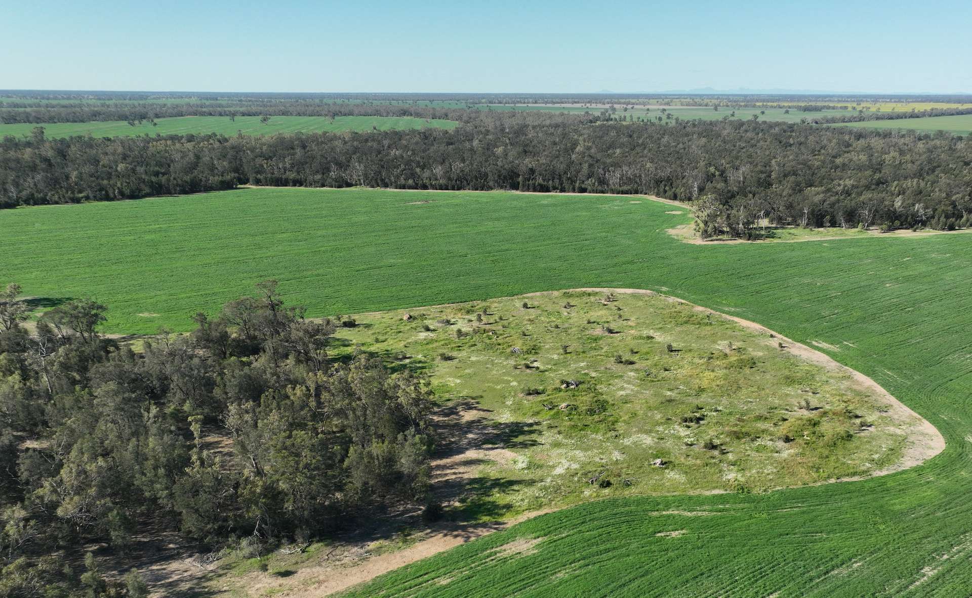 'The Pines' 211 Dicks Camp Road, Collie For Sale by Farmbuy.com - image 10