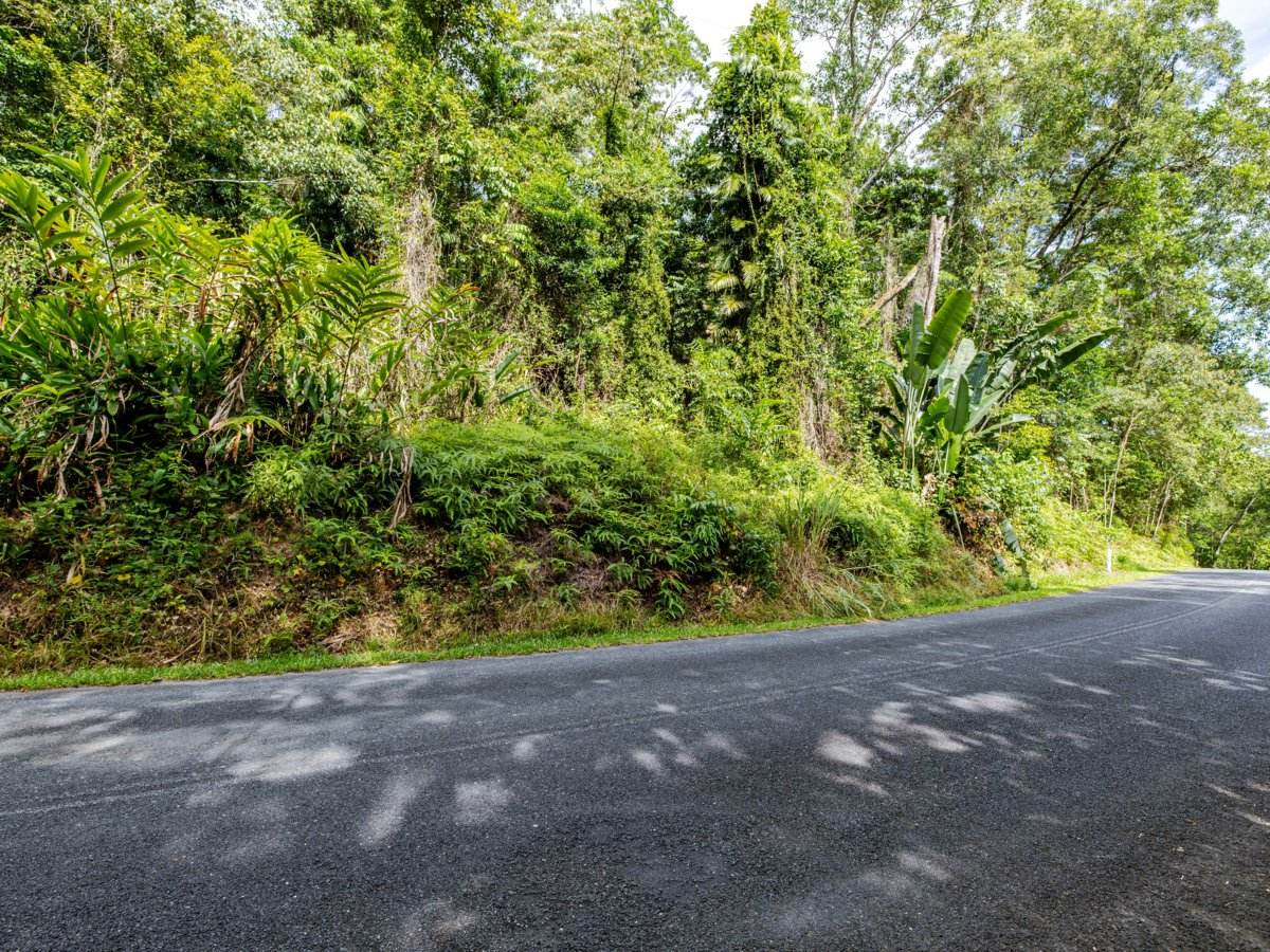 388 Finlayvale Road, Finlayvale For Sale by Farmbuy.com - image 10