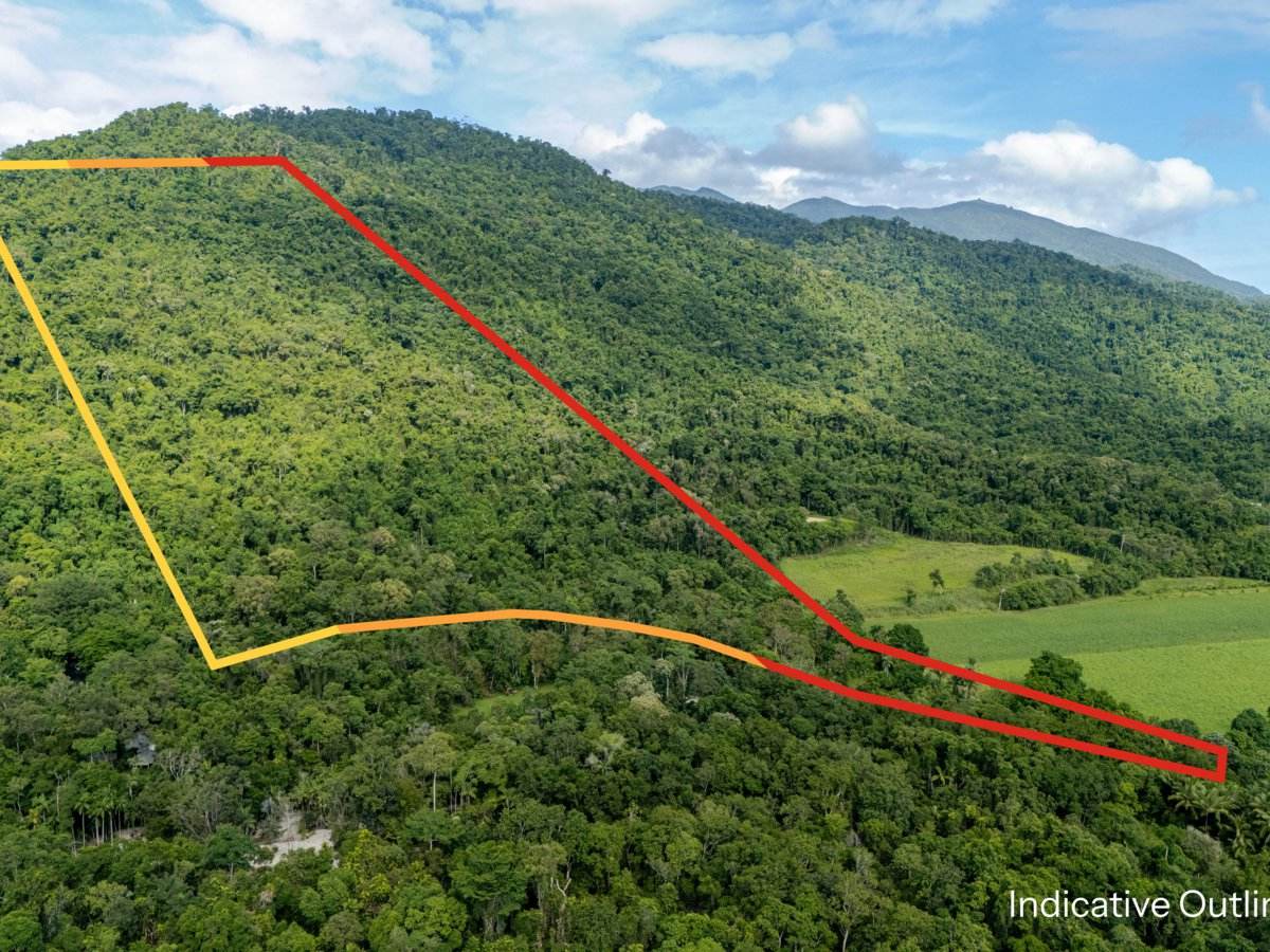 388 Finlayvale Road, Finlayvale For Sale by Farmbuy.com - image 2