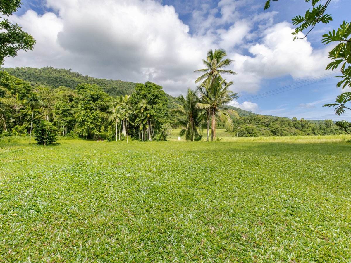388 Finlayvale Road, Finlayvale For Sale by Farmbuy.com - image 8