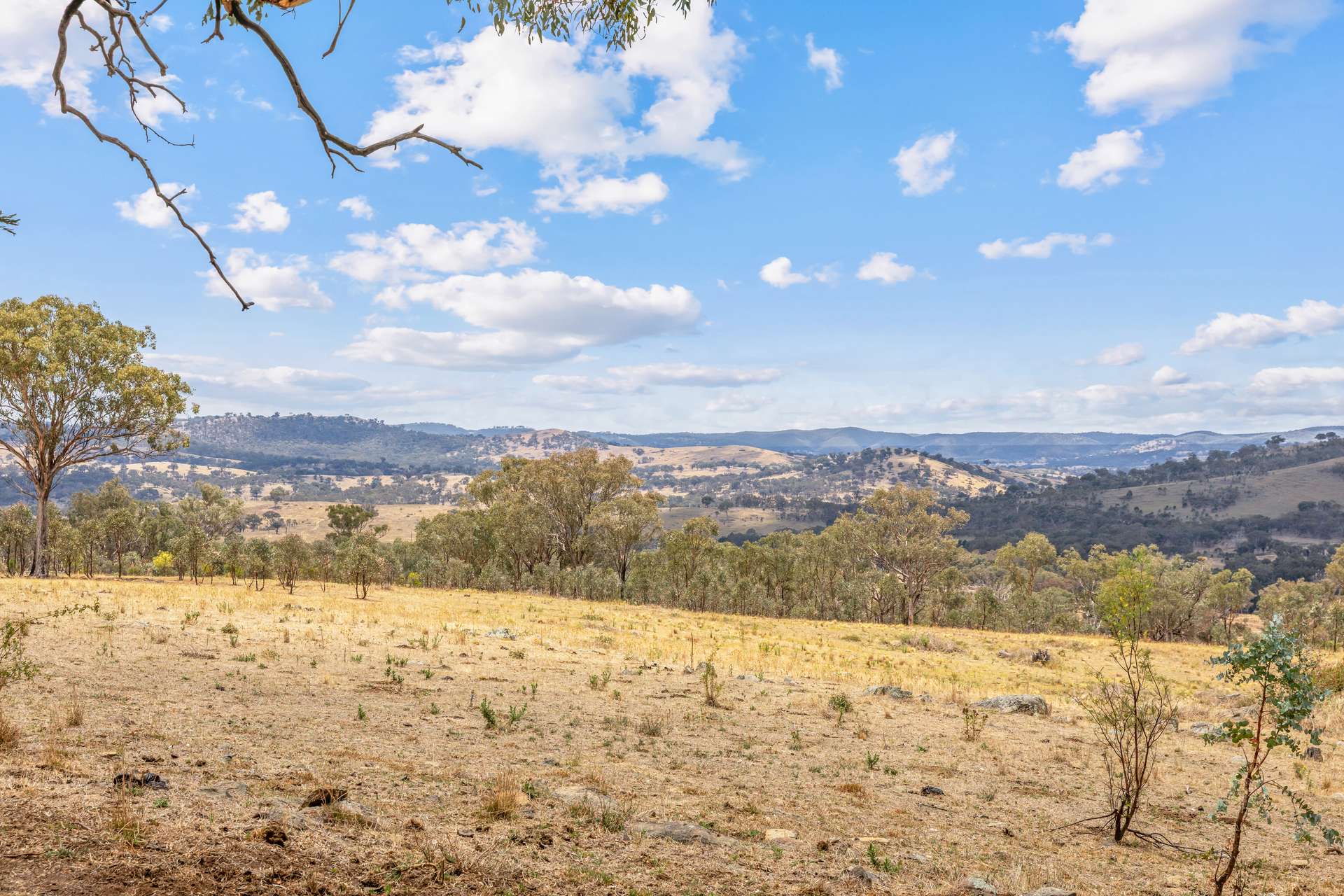 748 Turondale Road, Duramana For Sale by Farmbuy.com - image 21