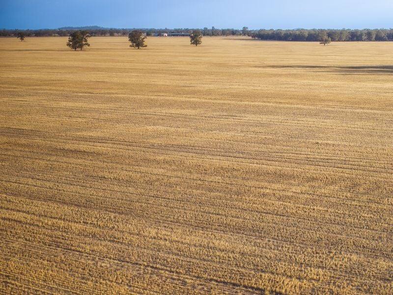 279 West Plains Road, Corinella For Sale by Farmbuy.com - image 16