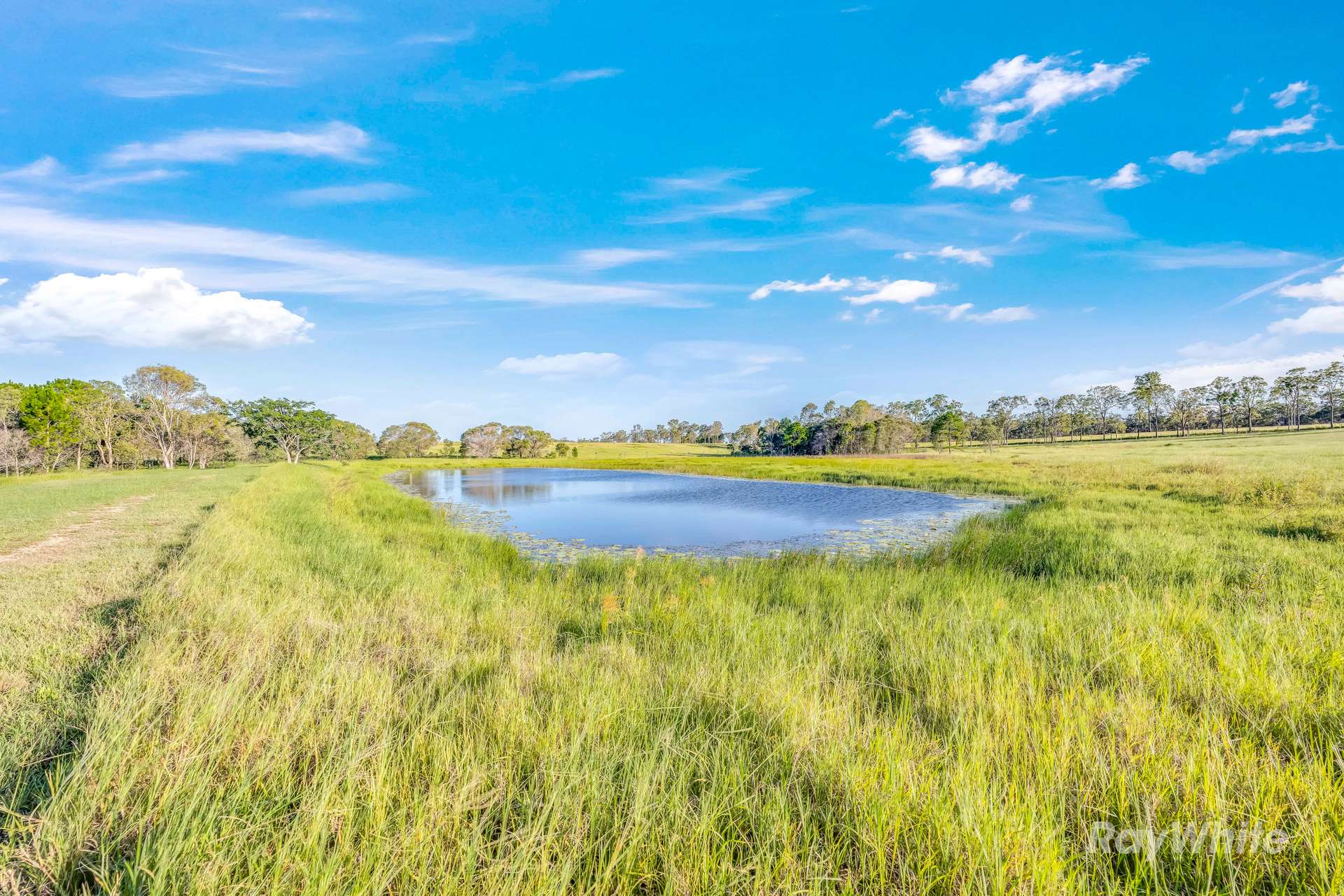 9 Eden Street East, Walkers Point For Sale by Farmbuy.com - image 29