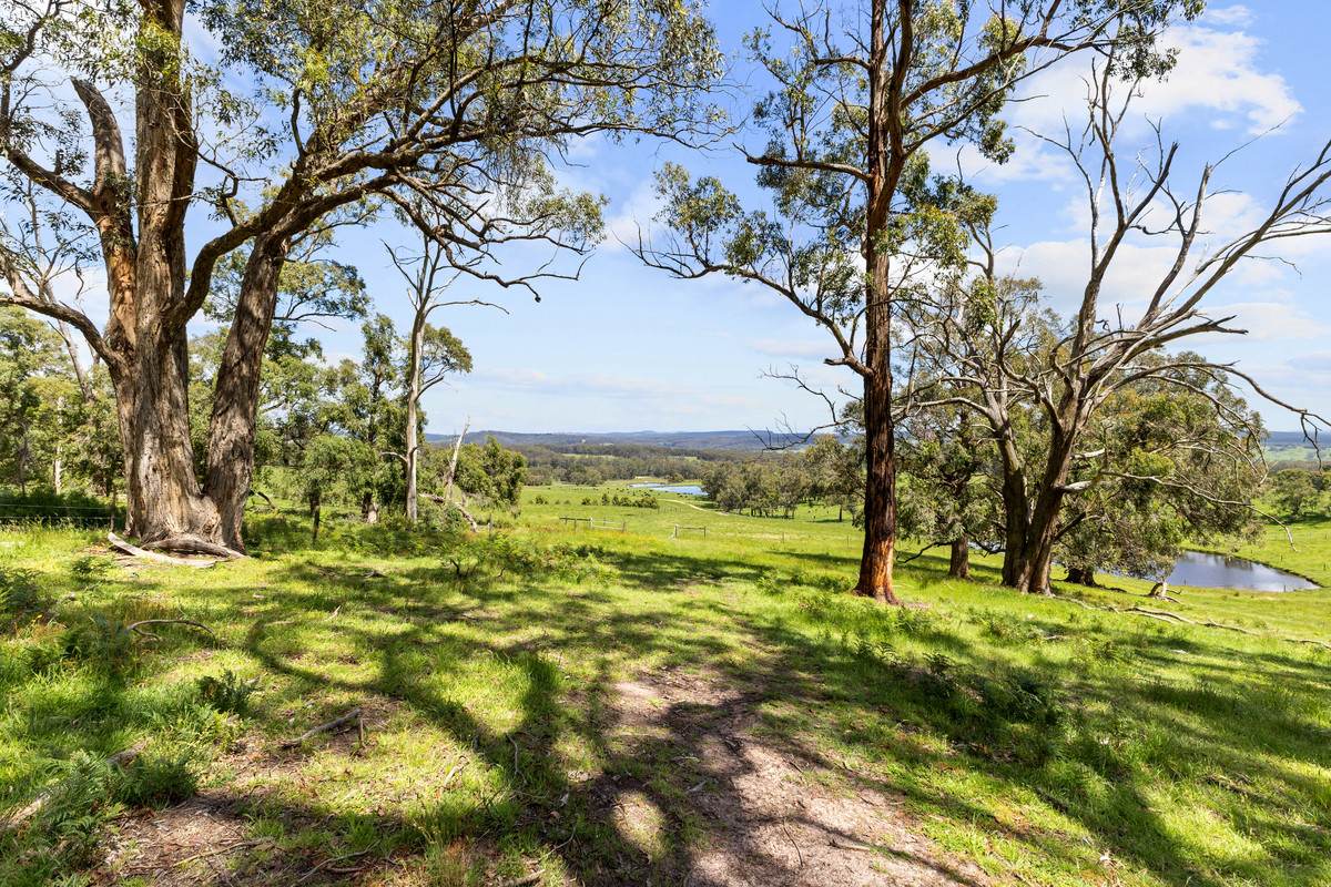 55 Fairbairns Road, Yinnar South For Sale by Farmbuy.com - image 23