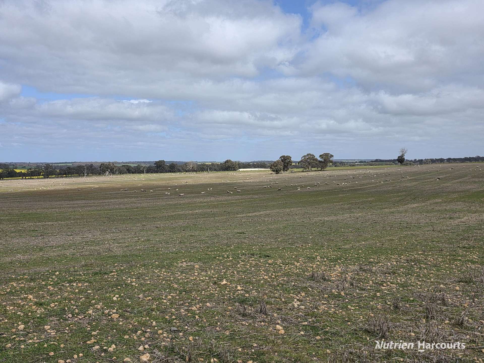 Lot 347 Yarralena Road, Cranbrook For Sale by Farmbuy.com - image 25