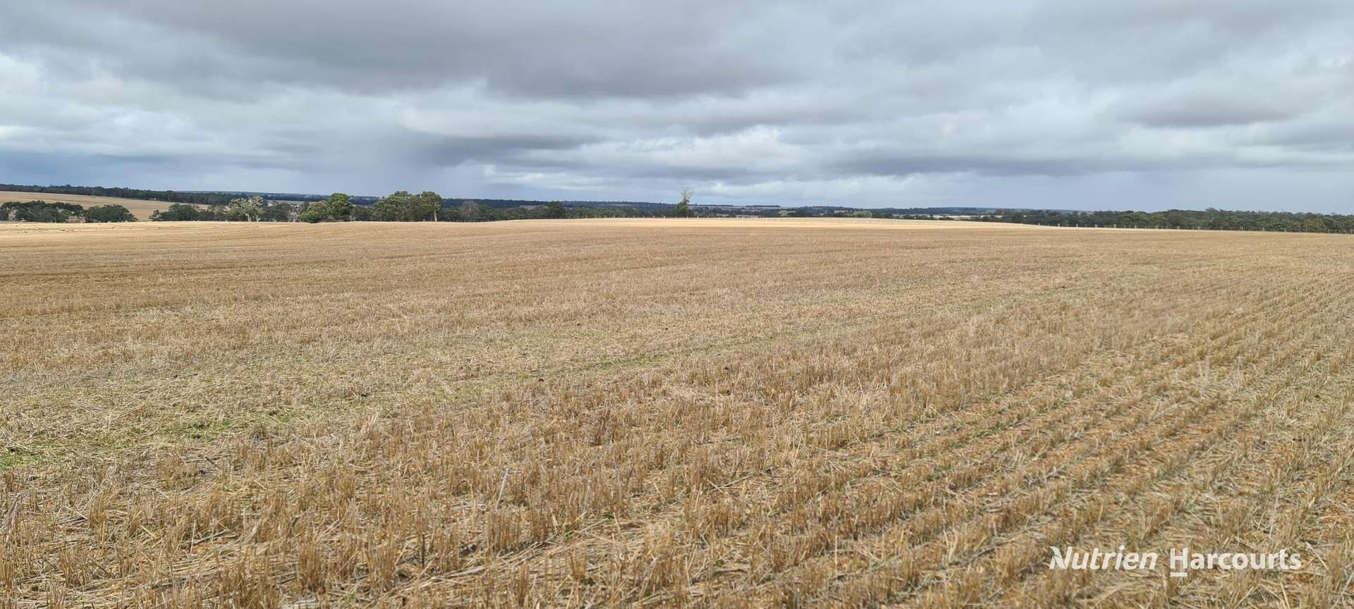 Lot 347 Yarralena Road, Cranbrook For Sale by Farmbuy.com - image 7