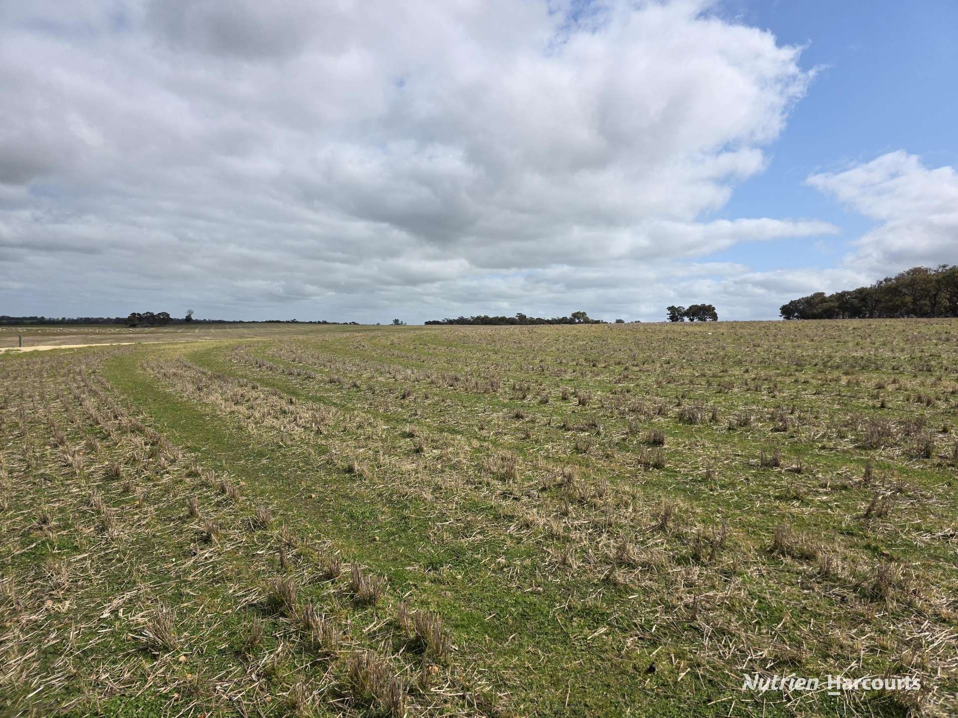 Lot 347 Yarralena Road, Cranbrook For Sale by Farmbuy.com - image 29