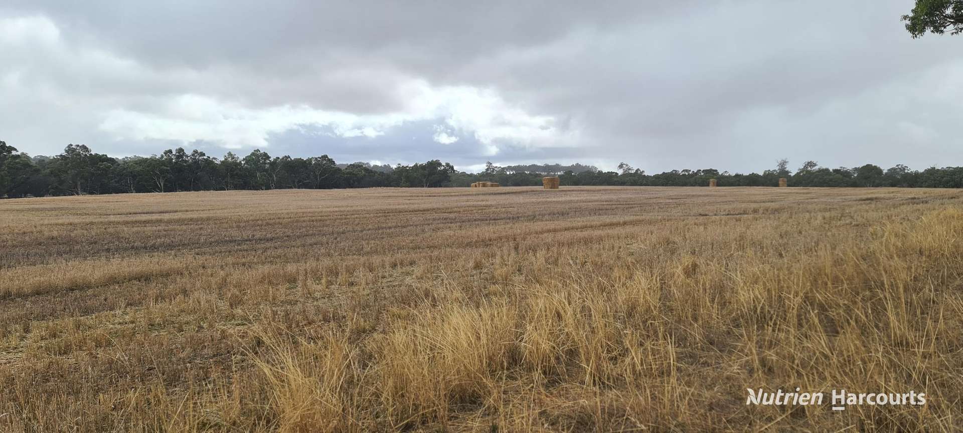 Lot 347 Yarralena Road, Cranbrook For Sale by Farmbuy.com - image 15