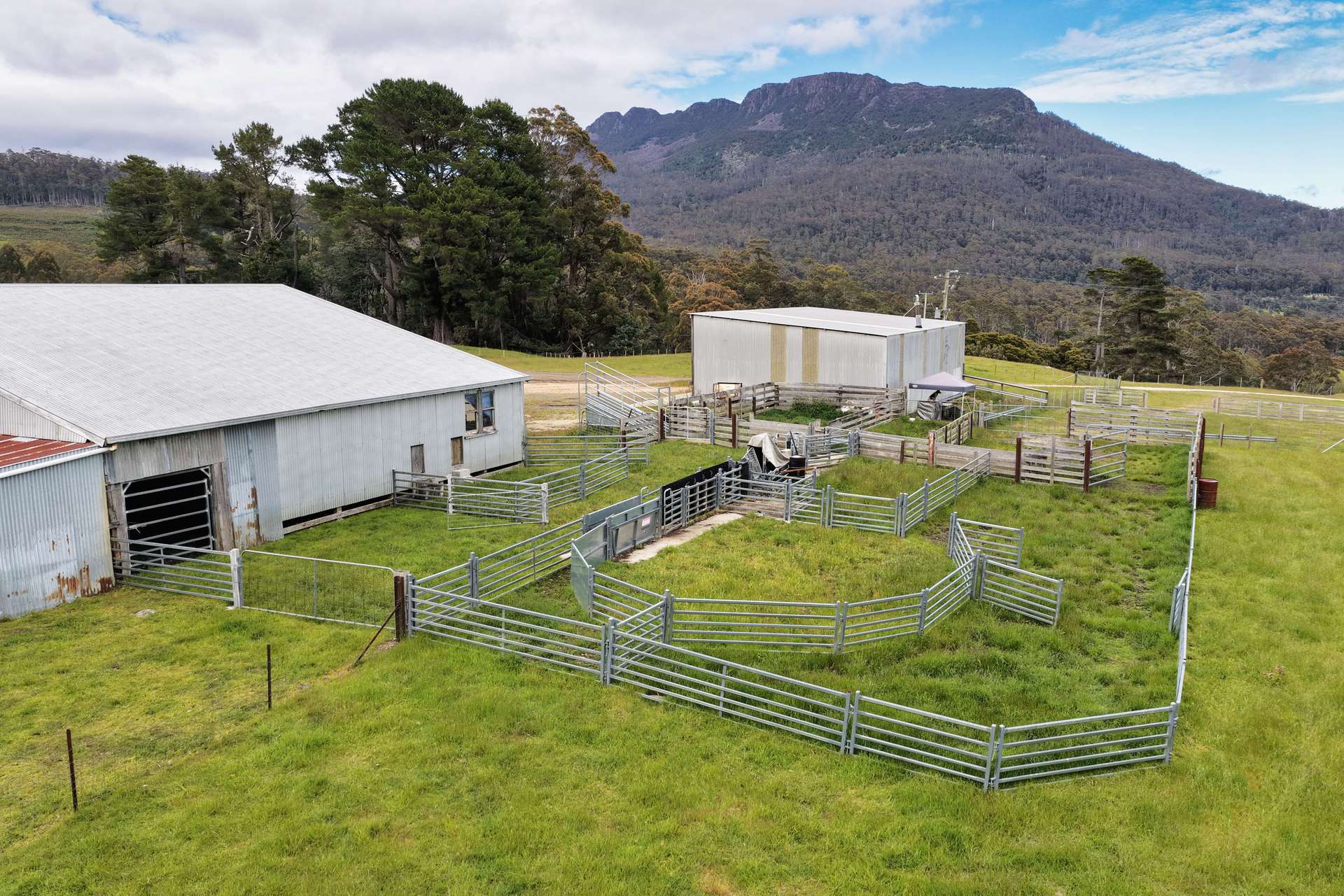 983 Bogan Road, Golden Valley For Sale by Farmbuy.com - image 7