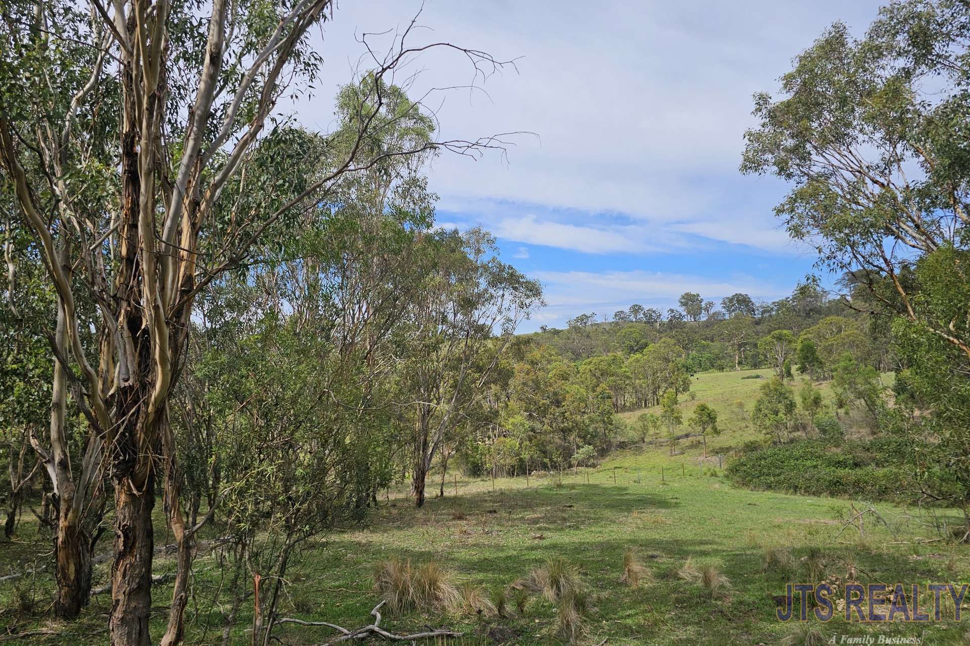59 Dolahentys Branch Road, Muswellbrook For Sale by Farmbuy.com - image 32