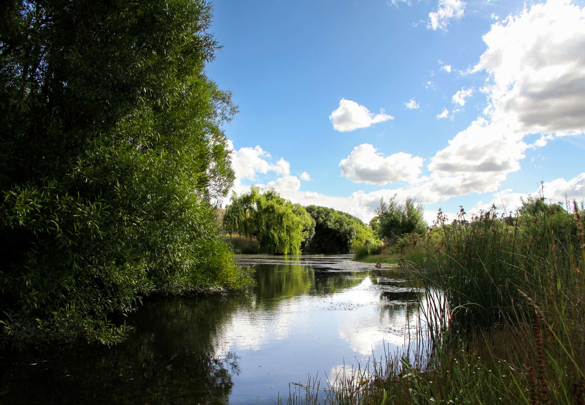149 Chinamans Lane, Goulburn For Sale by Farmbuy.com - image 3