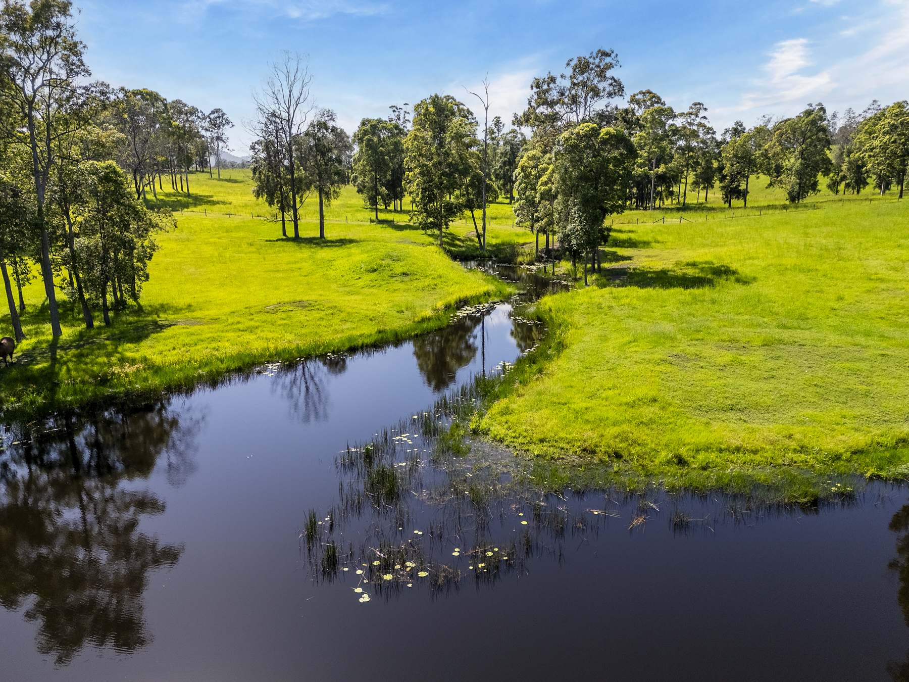 240 Keefton Road, Woondum For Sale by Farmbuy.com - image 2