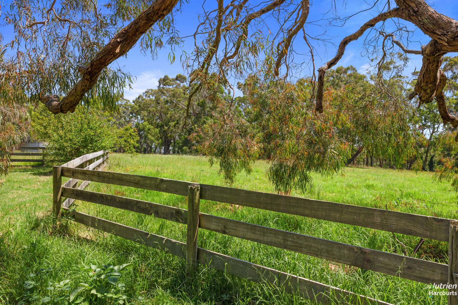 292 Timboon - Curdievale Road, Timboon Sold by Farmbuy.com - image 12