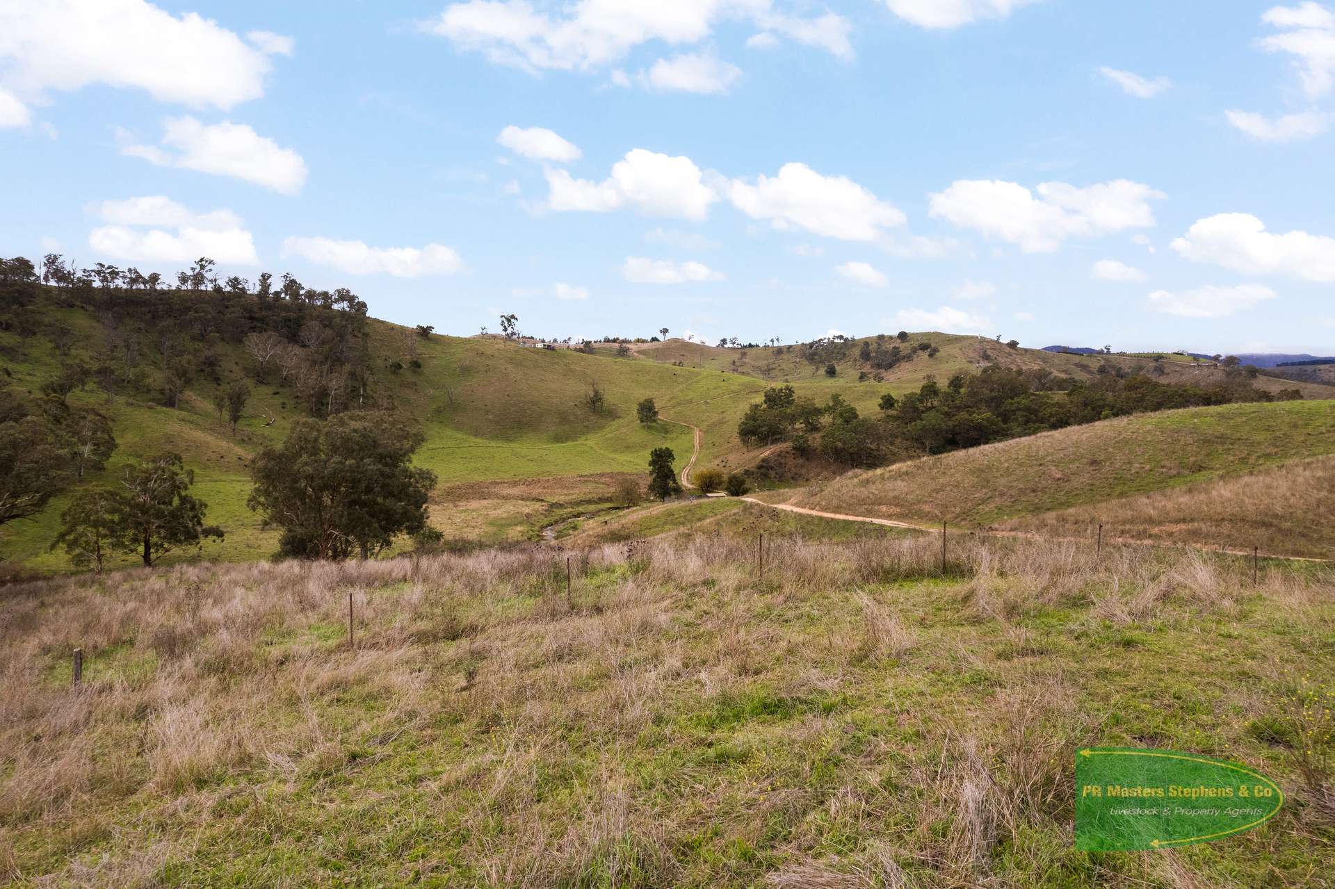 Ganbenang Sold by Farmbuy.com - image 14