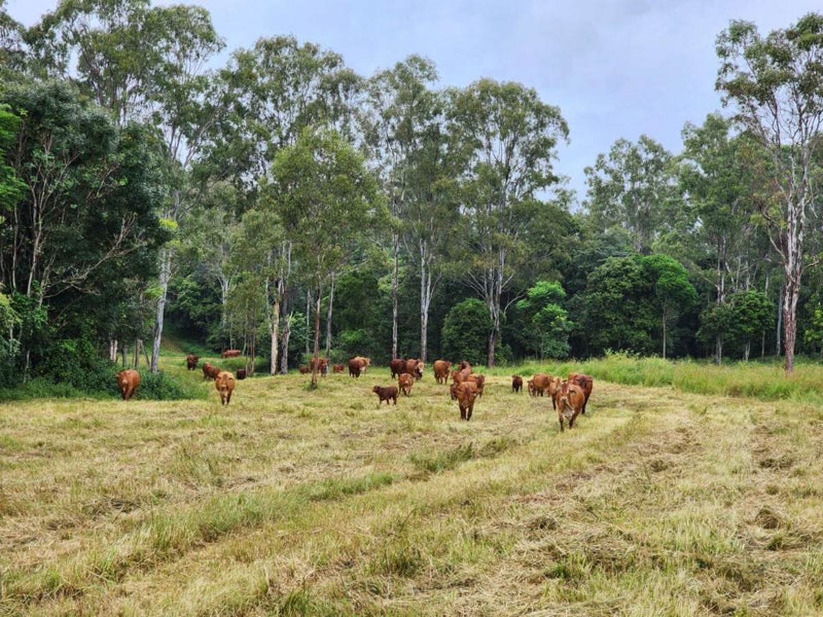Lot 3 Kanigan Road, Kanigan For Sale by Farmbuy.com - image 1