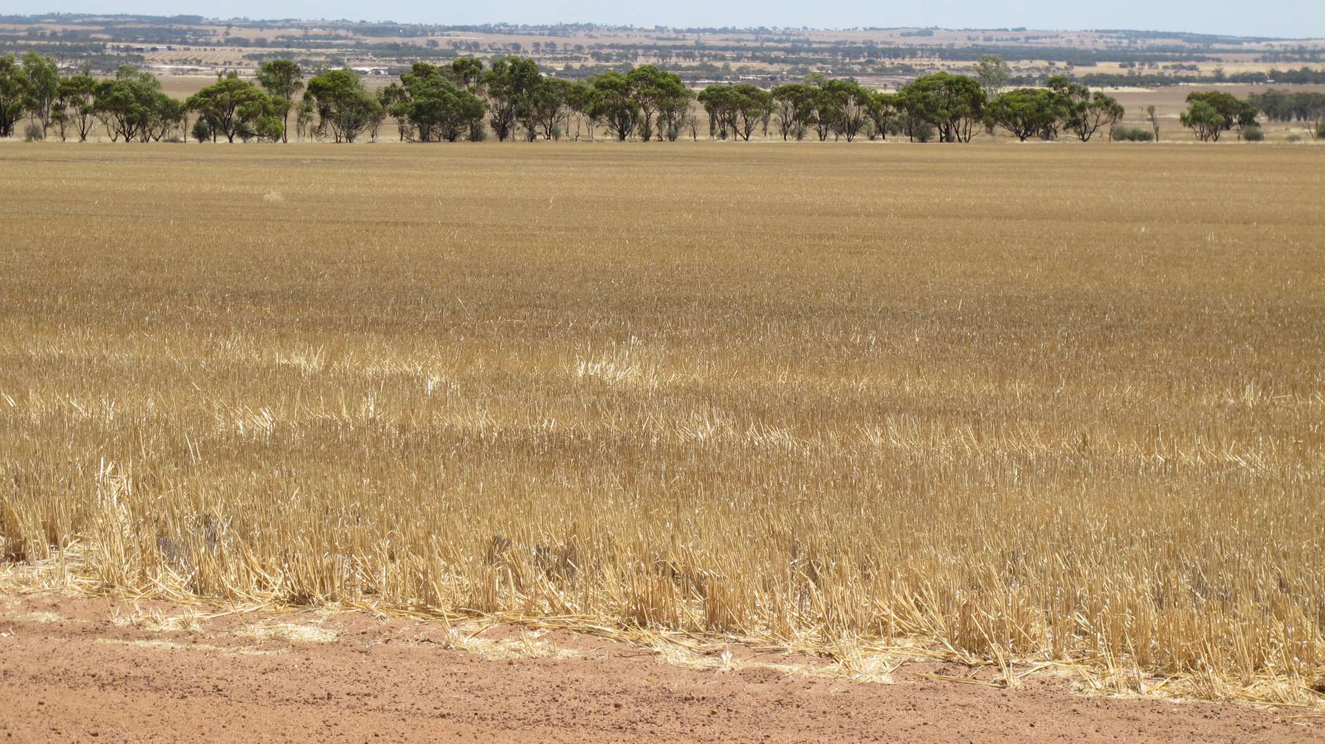 Glen Waddi, Waddy Forest, Coorow Sold by Farmbuy.com - image 1