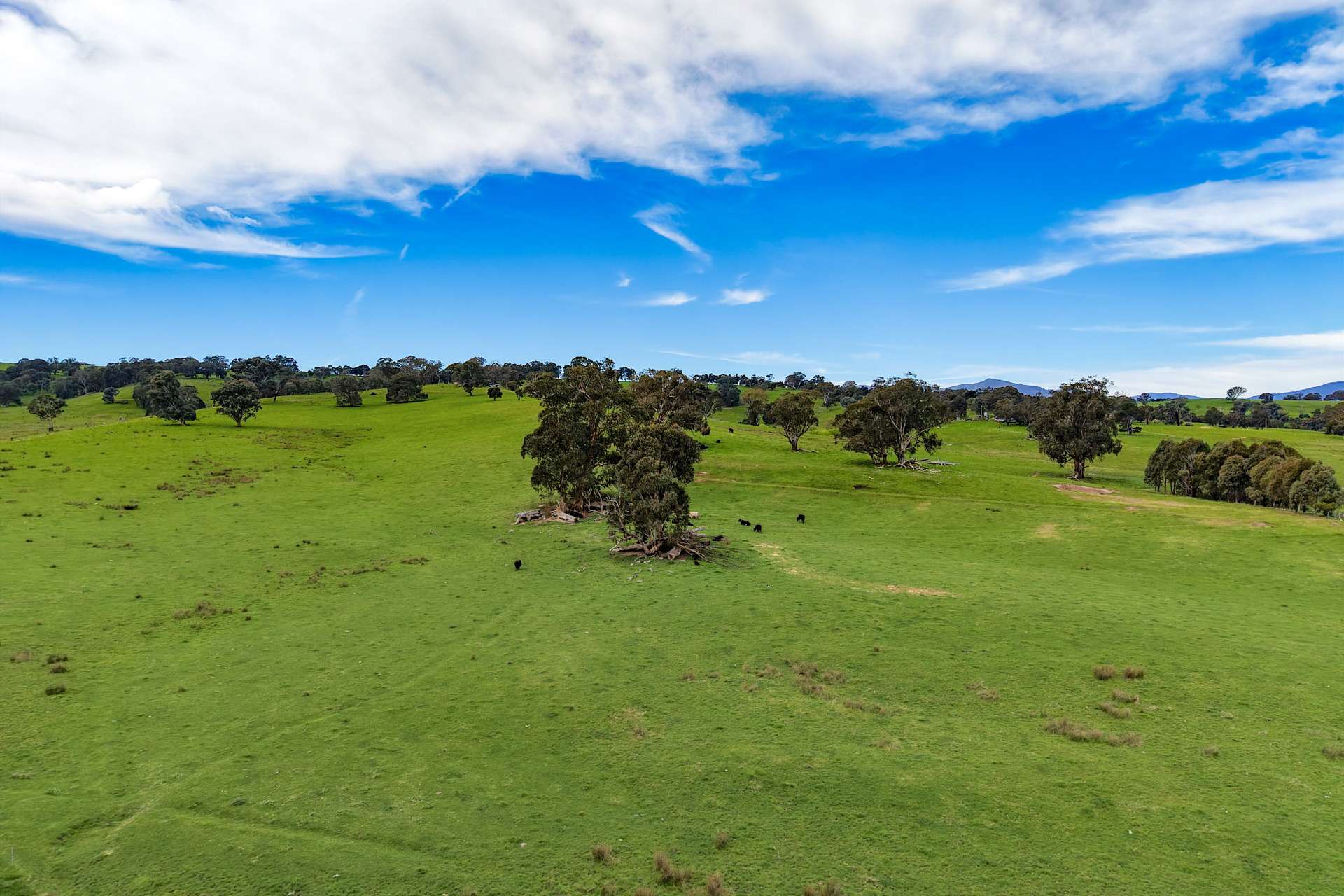 150 Gonzaga Lane, Merrijig For Sale by Farmbuy.com - image 4