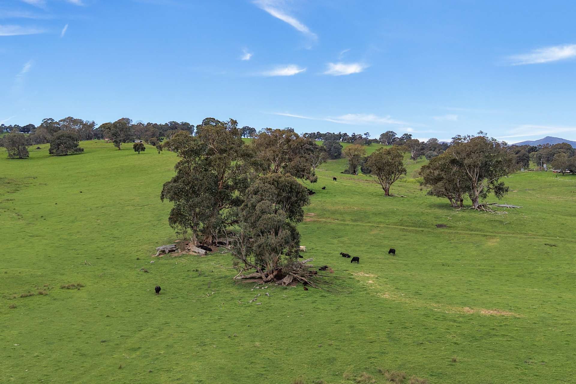 150 Gonzaga Lane, Merrijig For Sale by Farmbuy.com - image 5