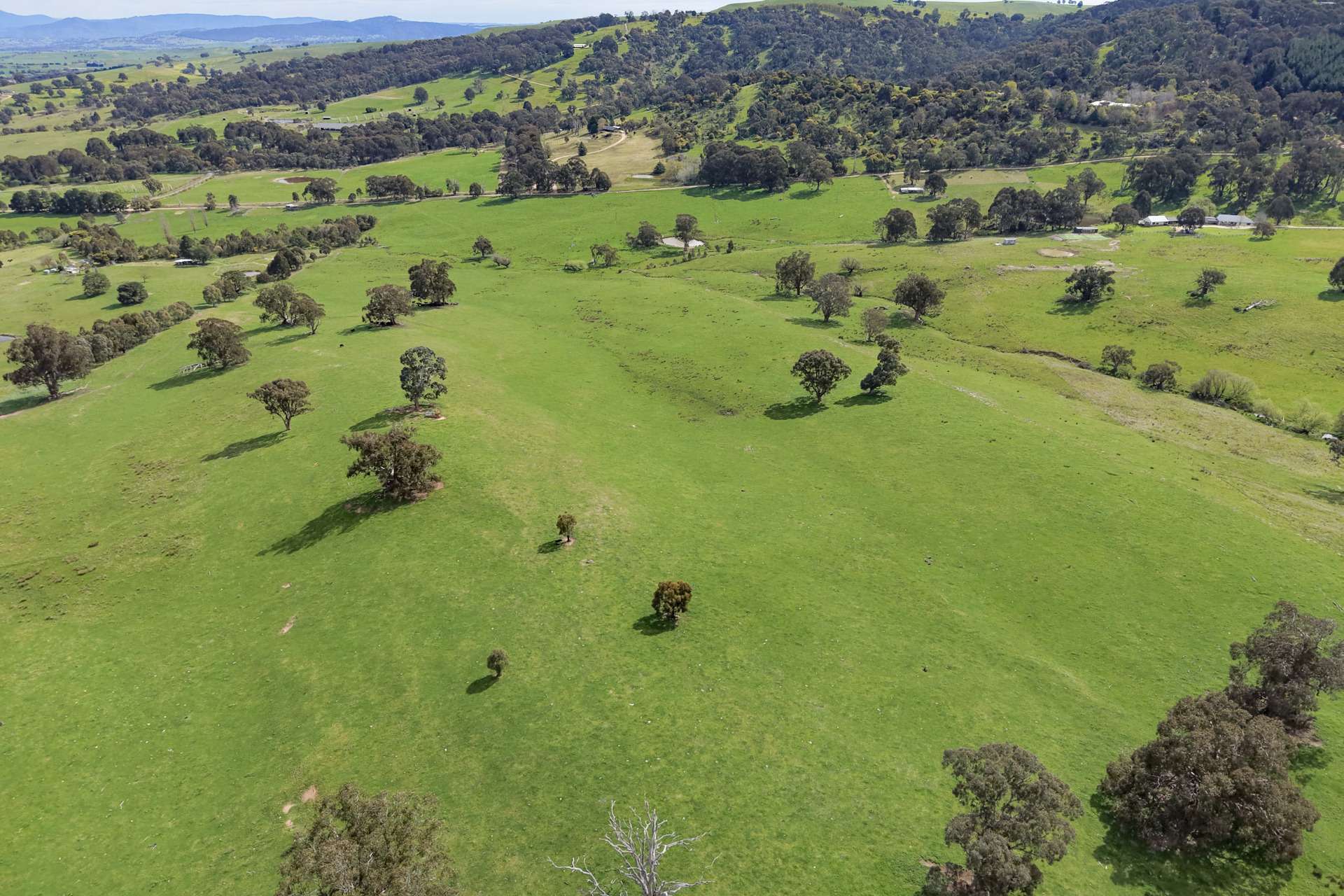 150 Gonzaga Lane, Merrijig For Sale by Farmbuy.com - image 1