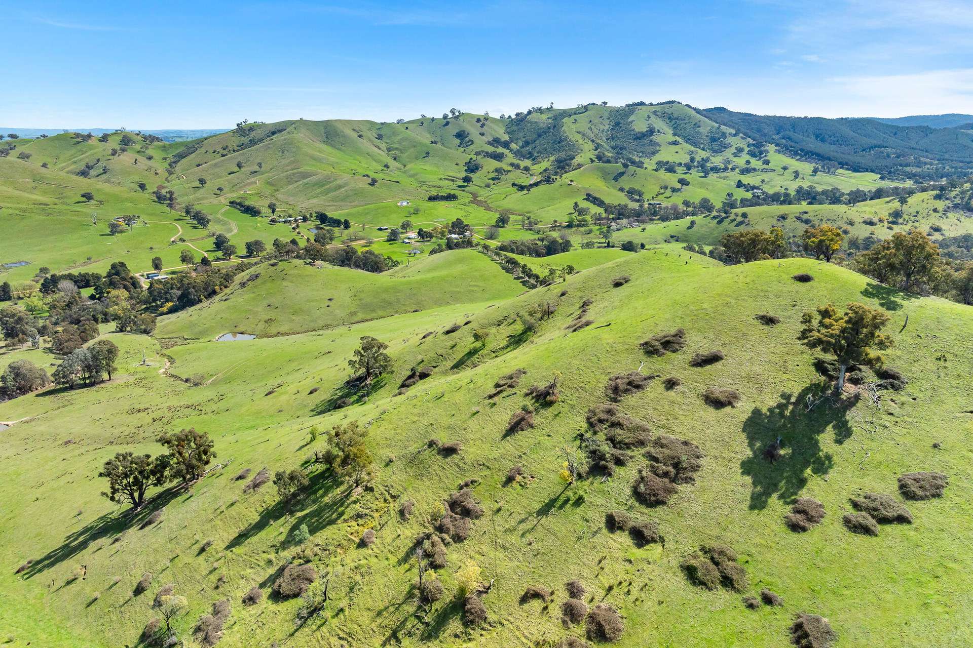 62 Hells Hole Creek Road, Bonnie Doon Sold by Farmbuy.com - image 10