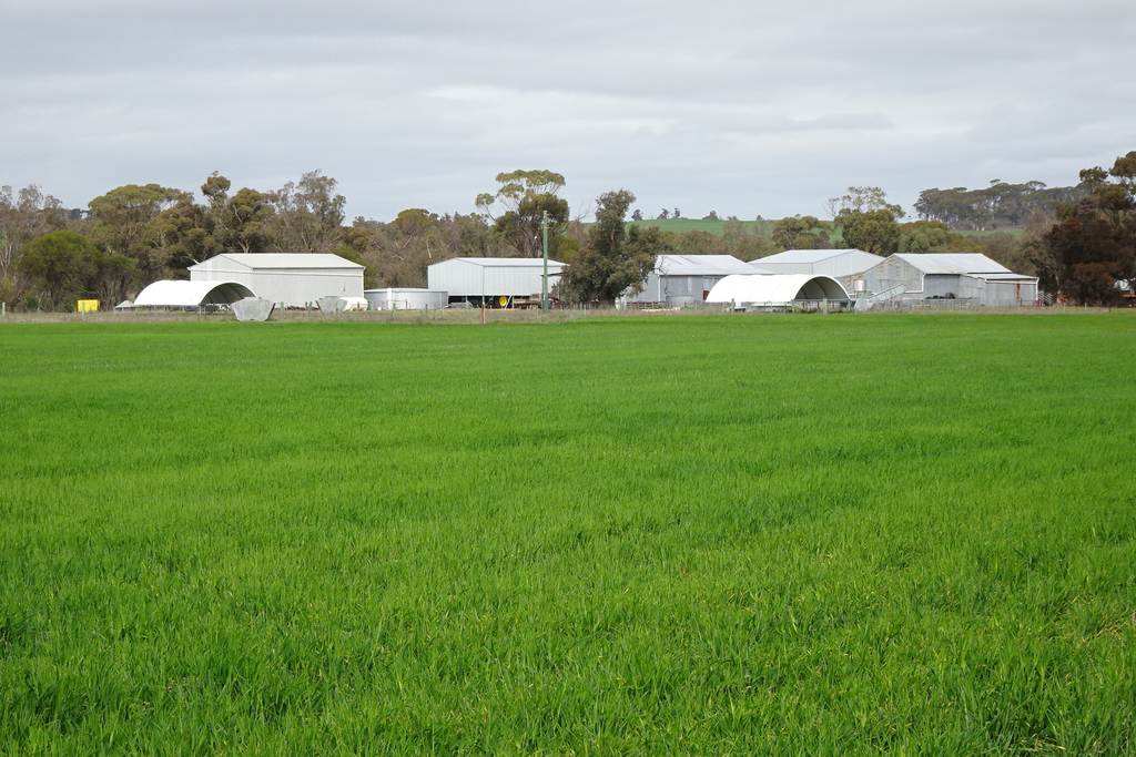 747 Yenellin Road, East Pingelly WA 6308