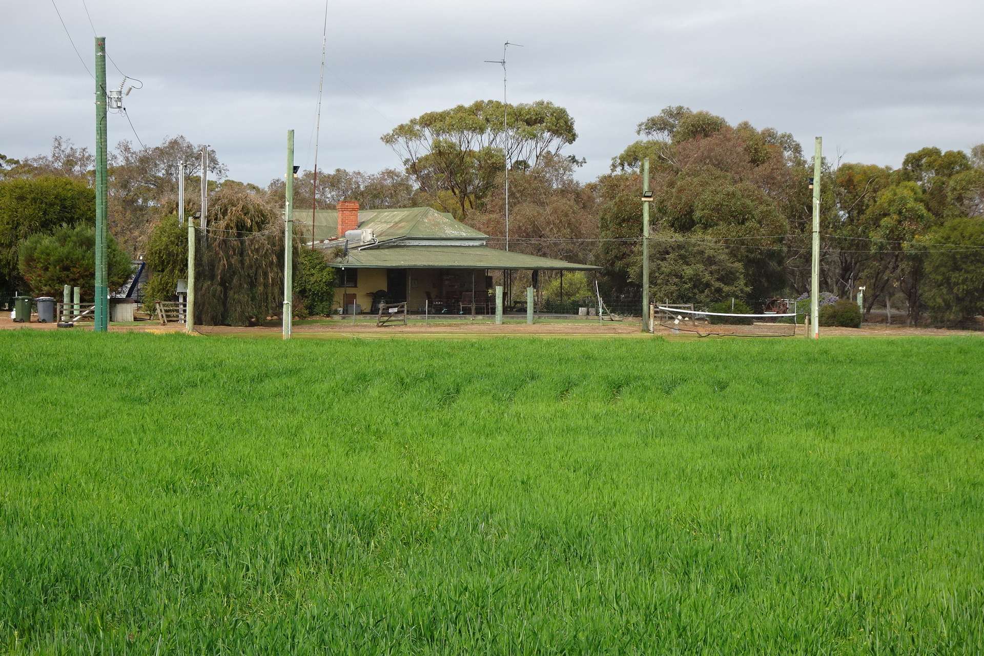 747 Yenellin Road, East Pingelly For Sale by Farmbuy.com - image 2