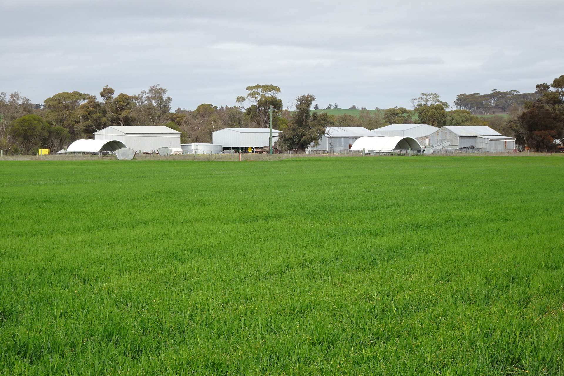 747 Yenellin Road, East Pingelly For Sale by Farmbuy.com - image 1