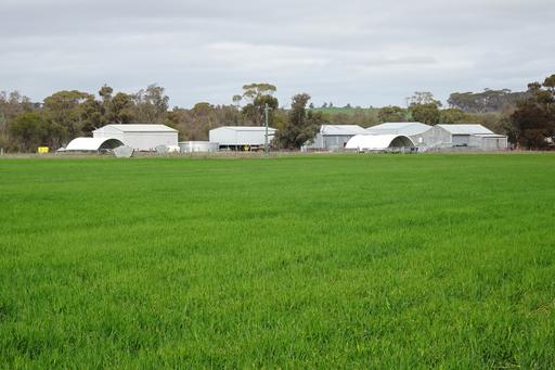 747 Yenellin Road, East Pingelly WA 6308