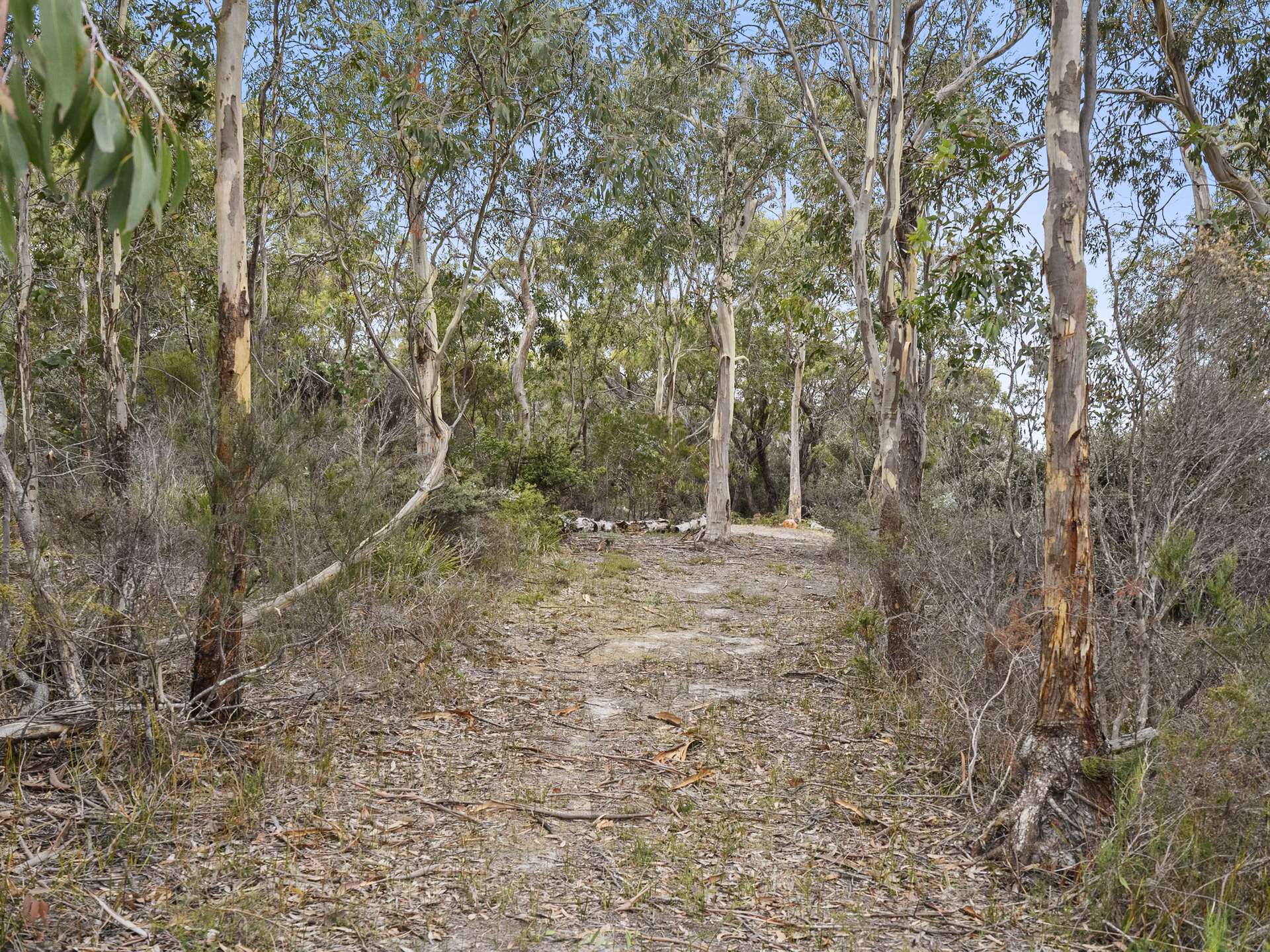 154 Coal Mine Road, Saltwater River For Sale by Farmbuy.com - image 9