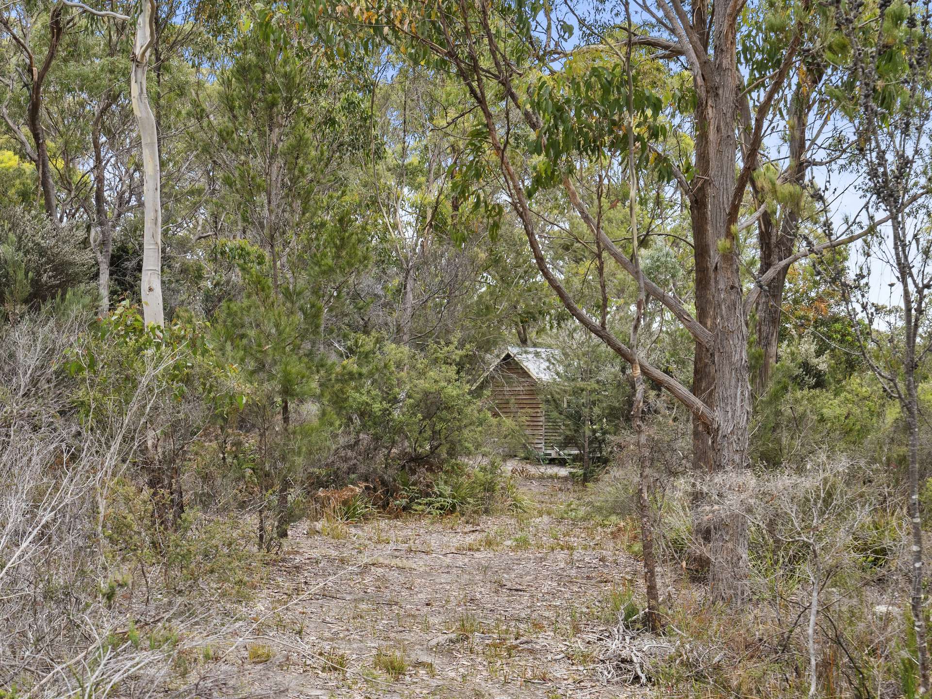 154 Coal Mine Road, Saltwater River For Sale by Farmbuy.com - image 19