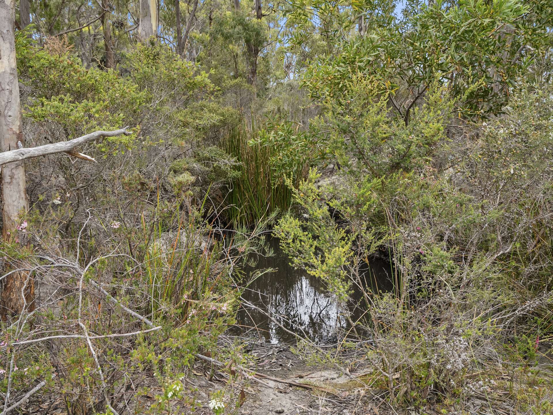 154 Coal Mine Road, Saltwater River For Sale by Farmbuy.com - image 18