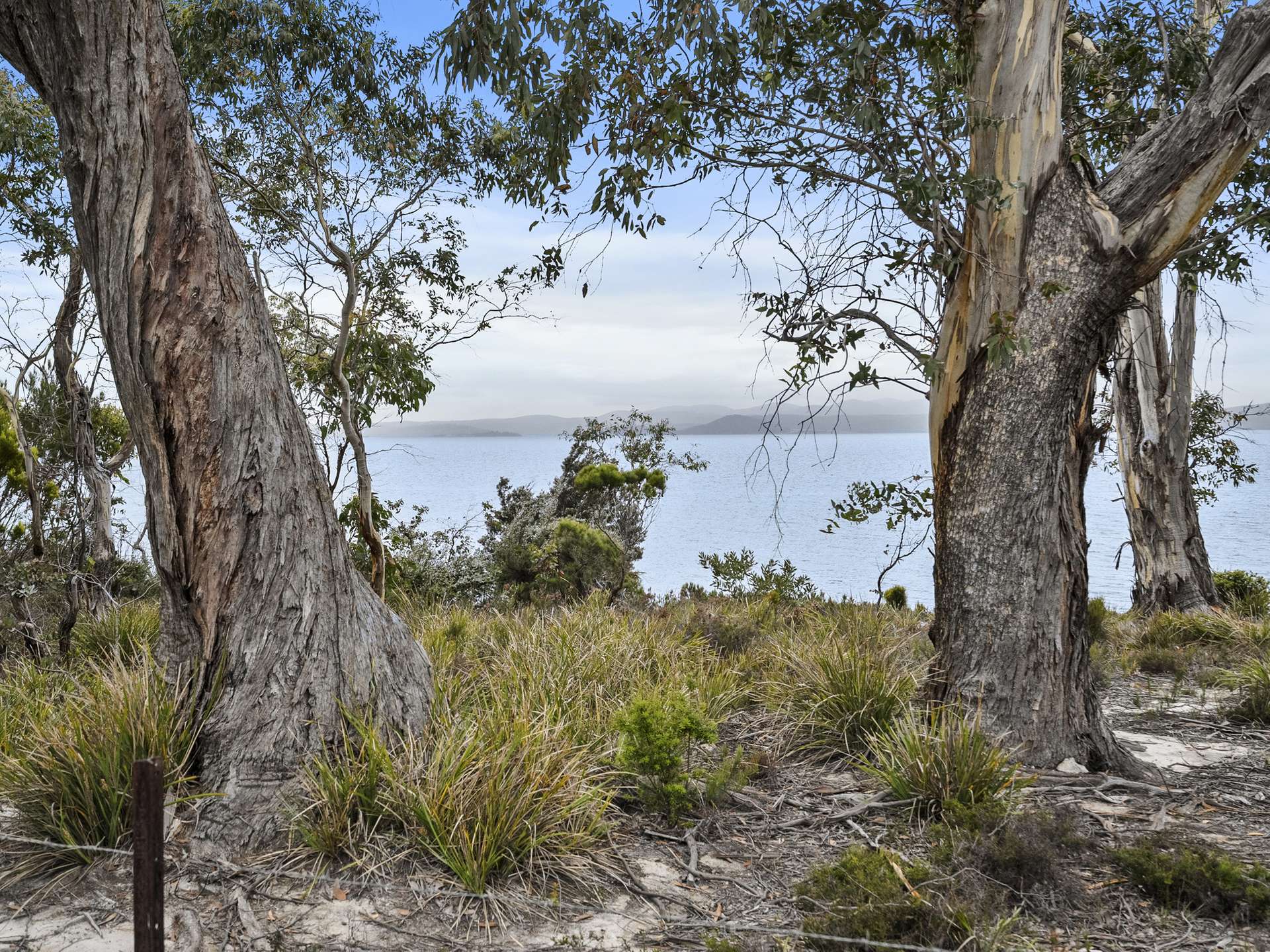 154 Coal Mine Road, Saltwater River For Sale by Farmbuy.com - image 6