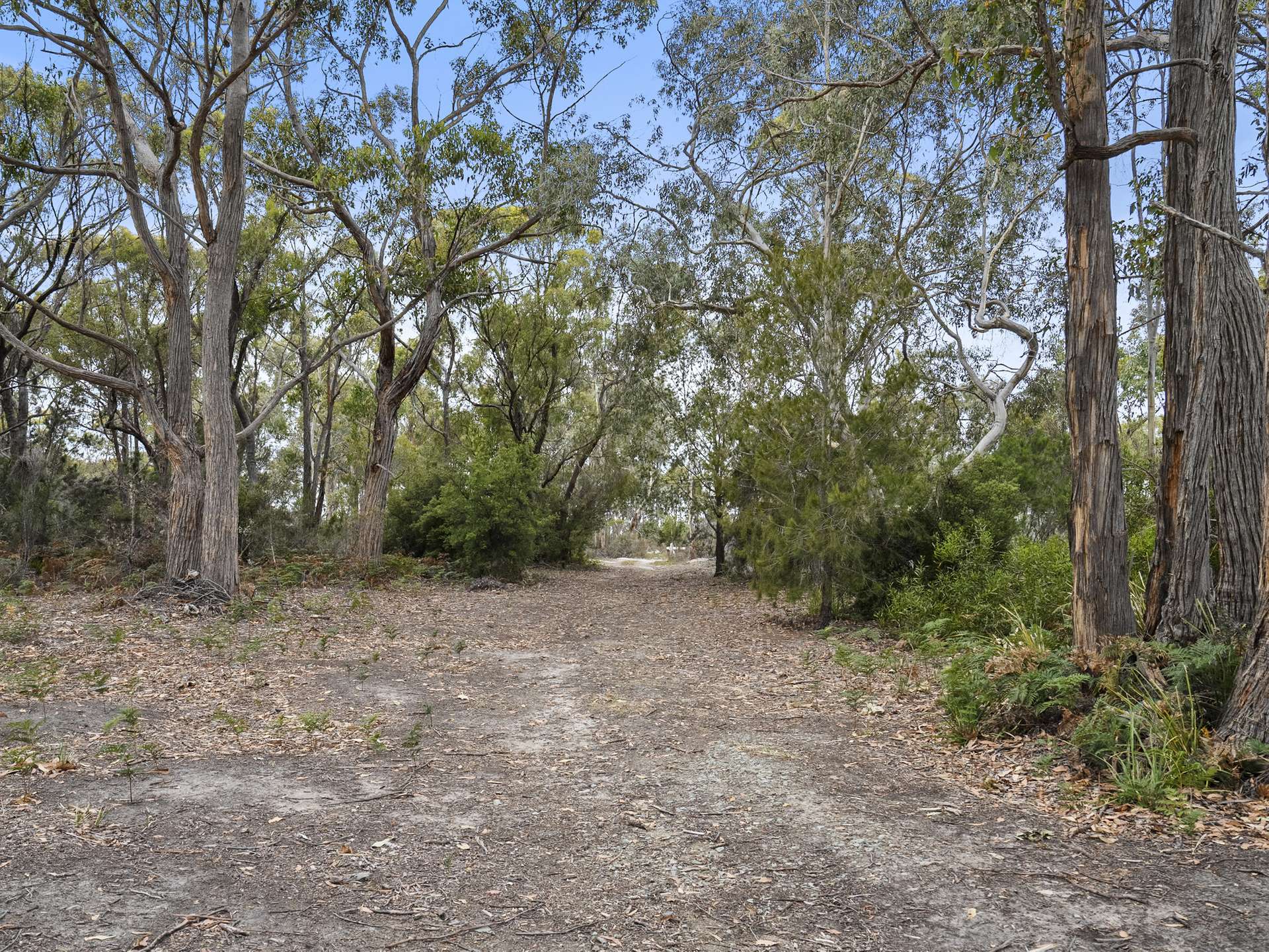 154 Coal Mine Road, Saltwater River For Sale by Farmbuy.com - image 8