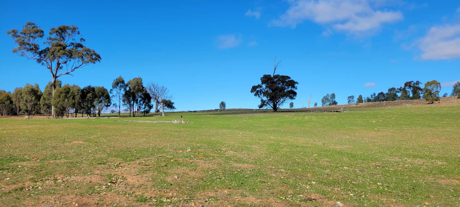 Lot 2, 93 Axedale Quarry Road, Axedale For Sale by Farmbuy.com - image 5