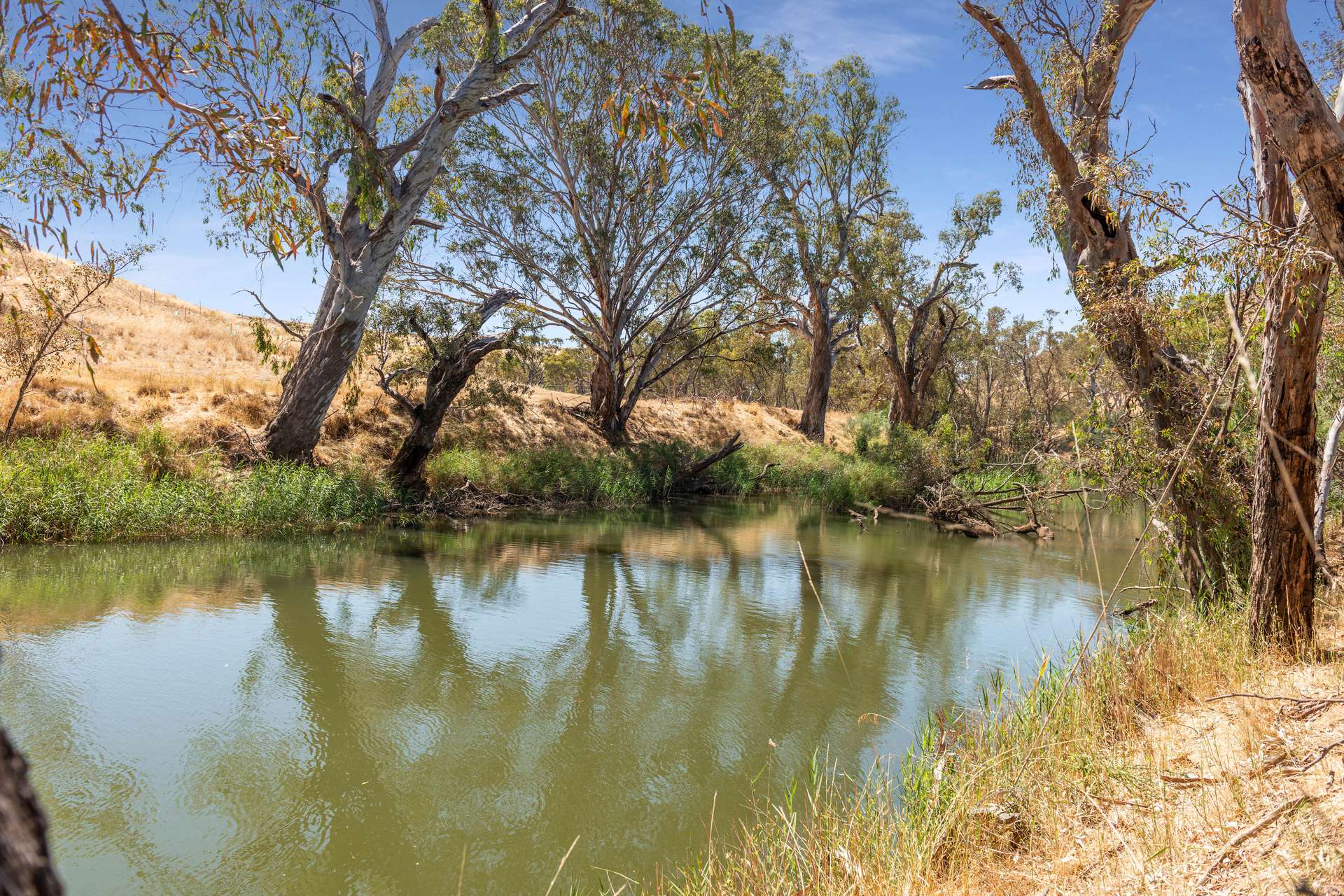 Lot 2, 93 Axedale Quarry Road, Axedale For Sale by Farmbuy.com - image 2