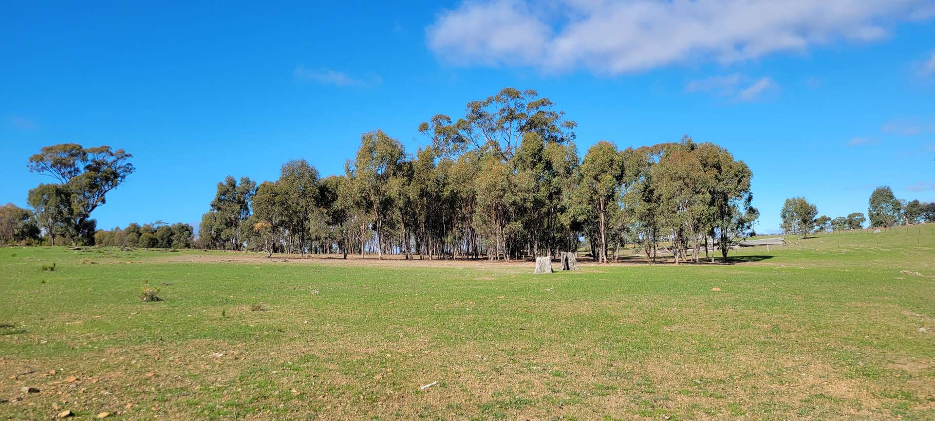 Lot 2, 93 Axedale Quarry Road, Axedale For Sale by Farmbuy.com - image 4