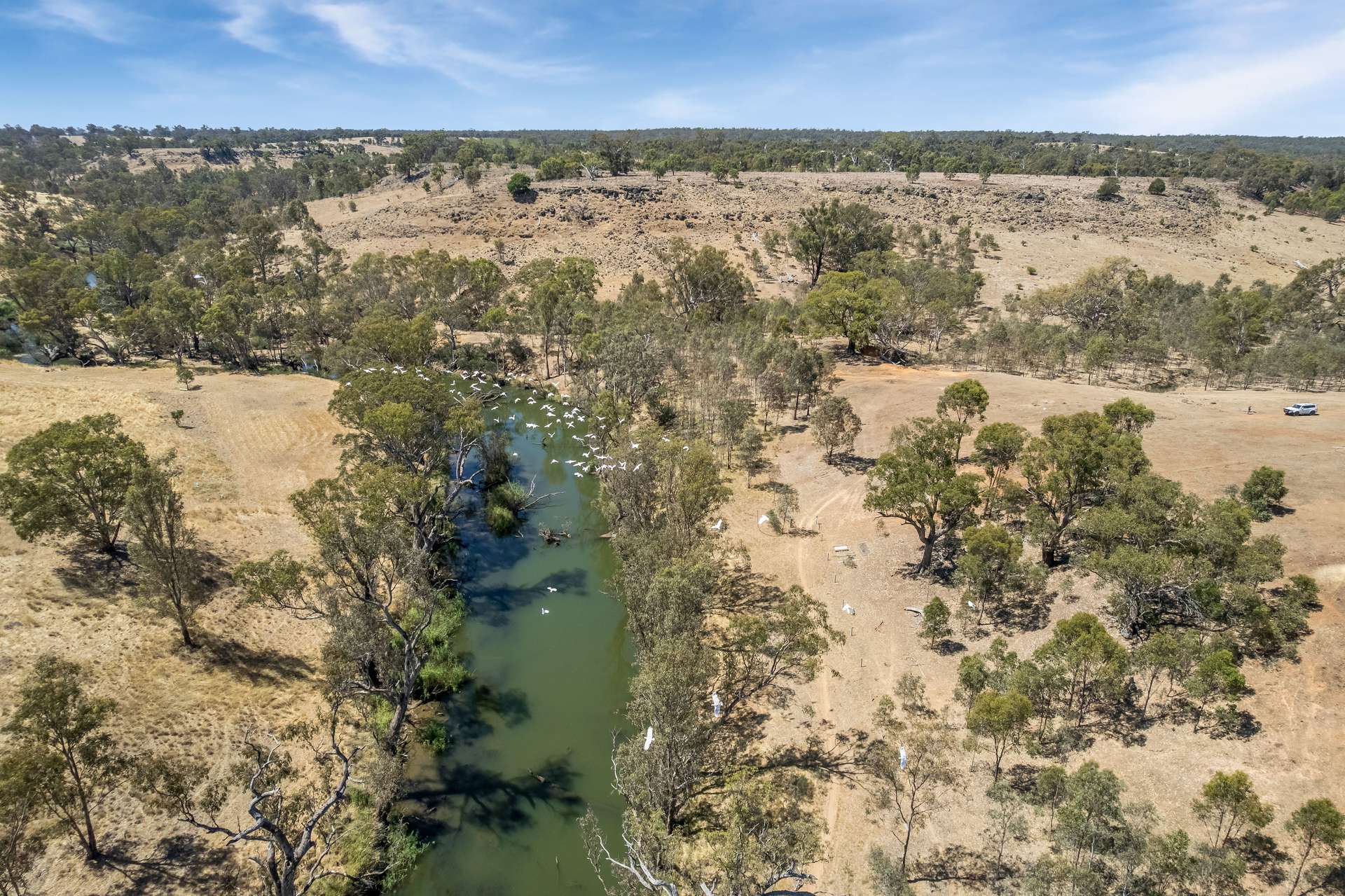 93 Axedale Quarry Road, Axedale For Sale by Farmbuy.com - image 17