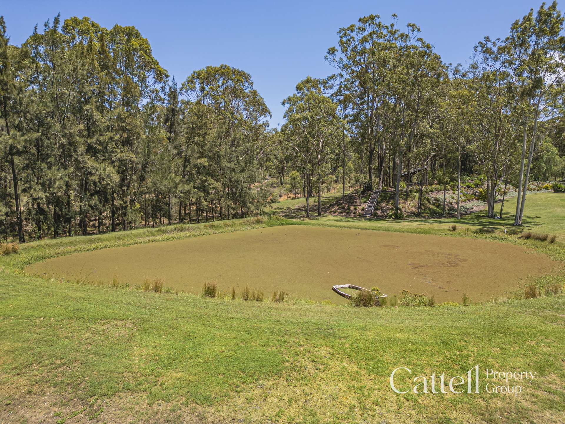 1332 George Booth Drive, Buchanan For Sale by Farmbuy.com - image 20