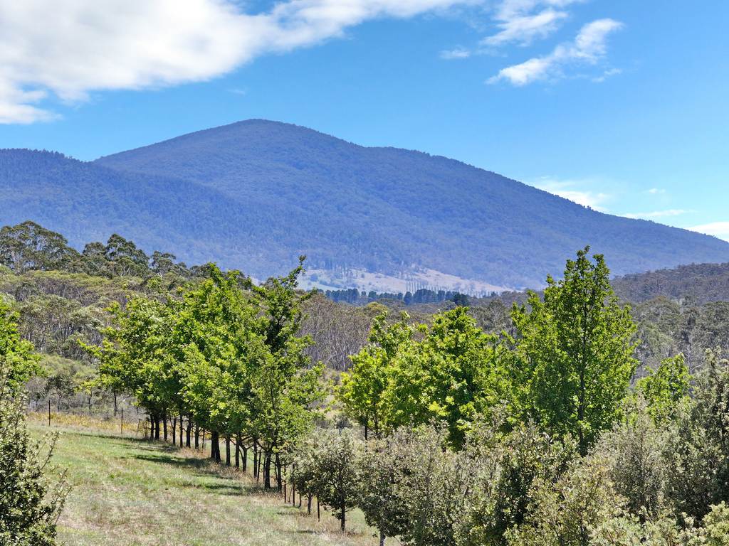 760 Wallaces Gap Road, Braidwood NSW 2622