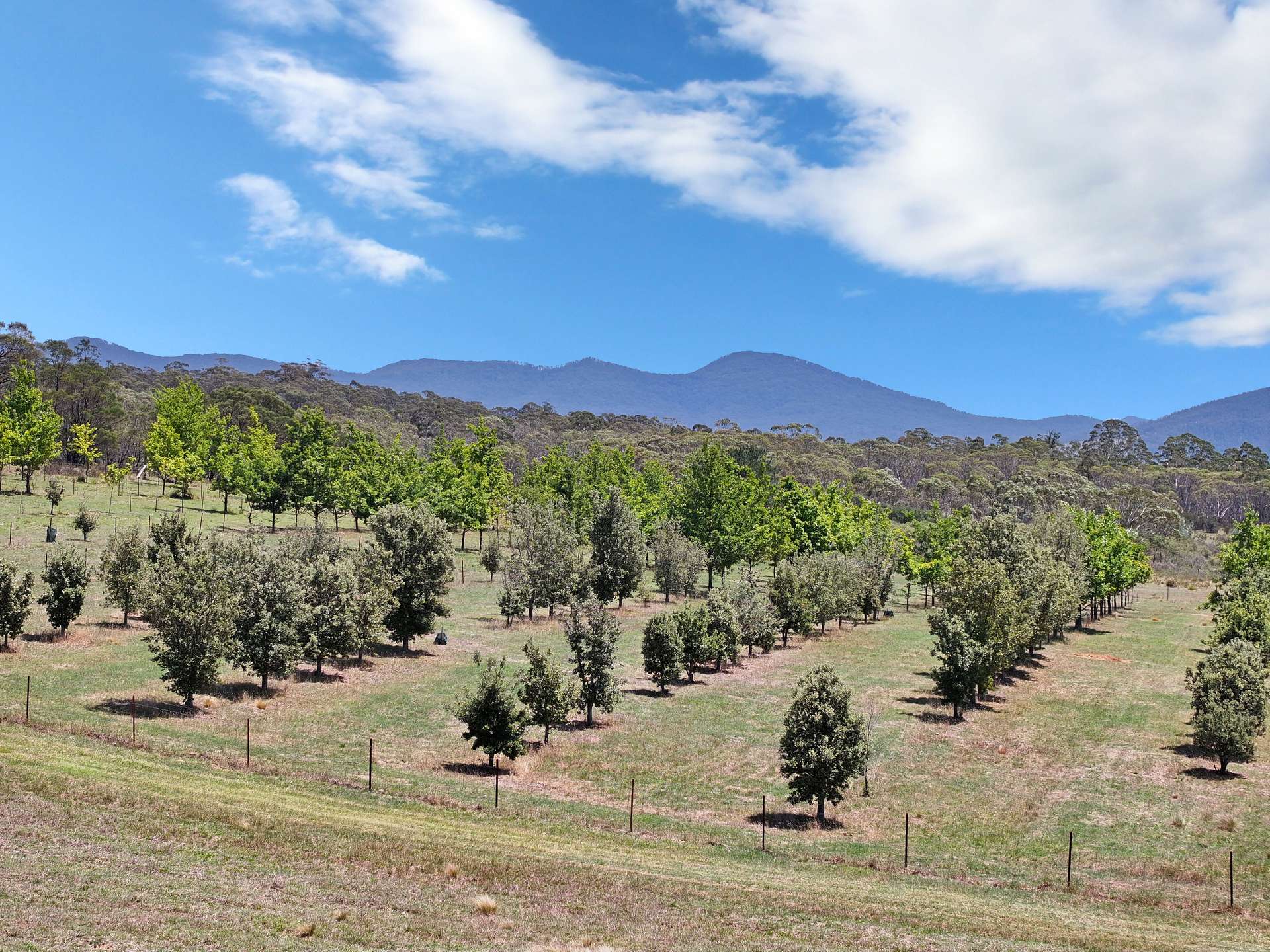 760 Wallaces Gap Road, Braidwood For Sale by Farmbuy.com - image 8