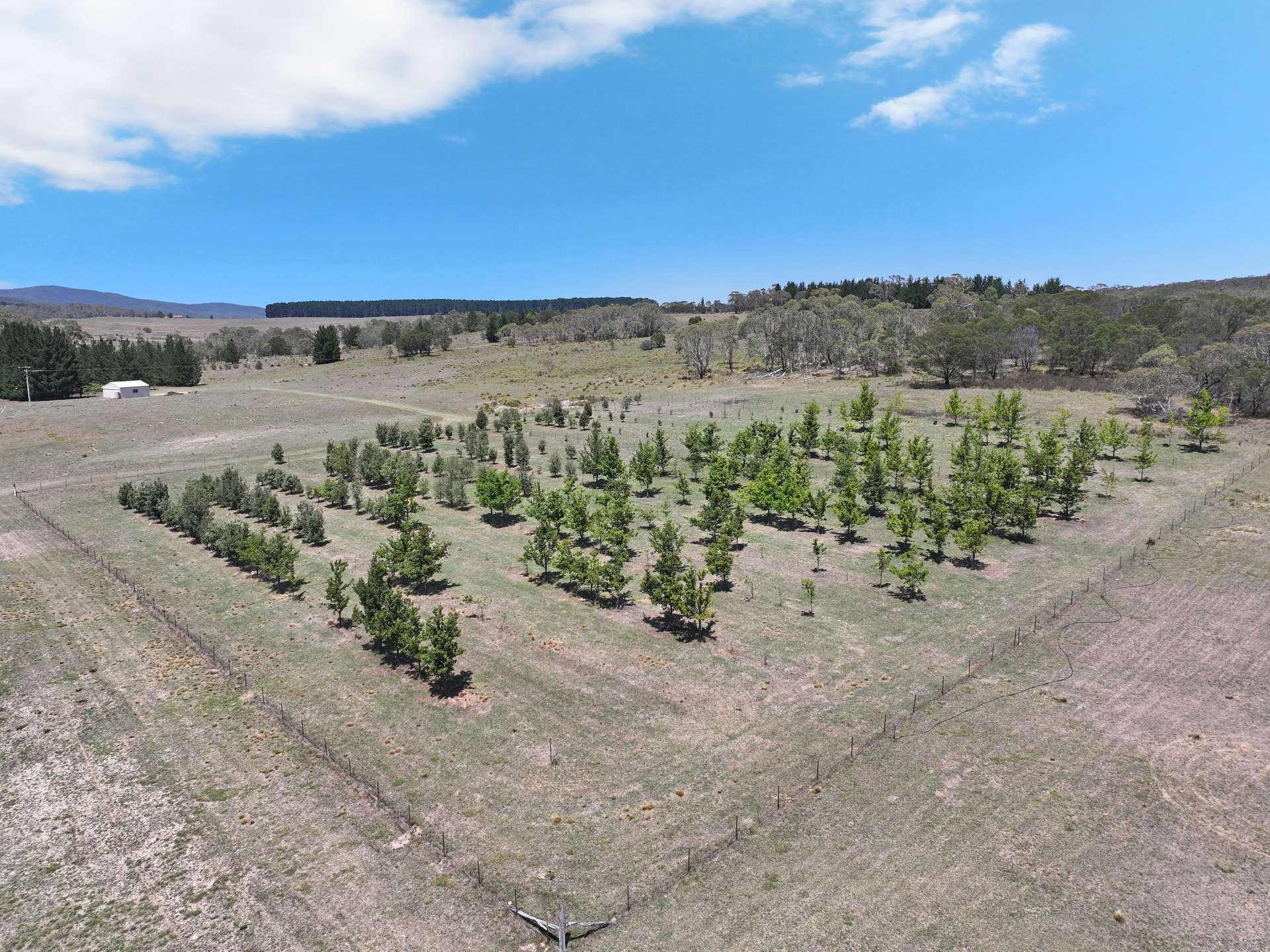 760 Wallaces Gap Road, Braidwood For Sale by Farmbuy.com - image 7