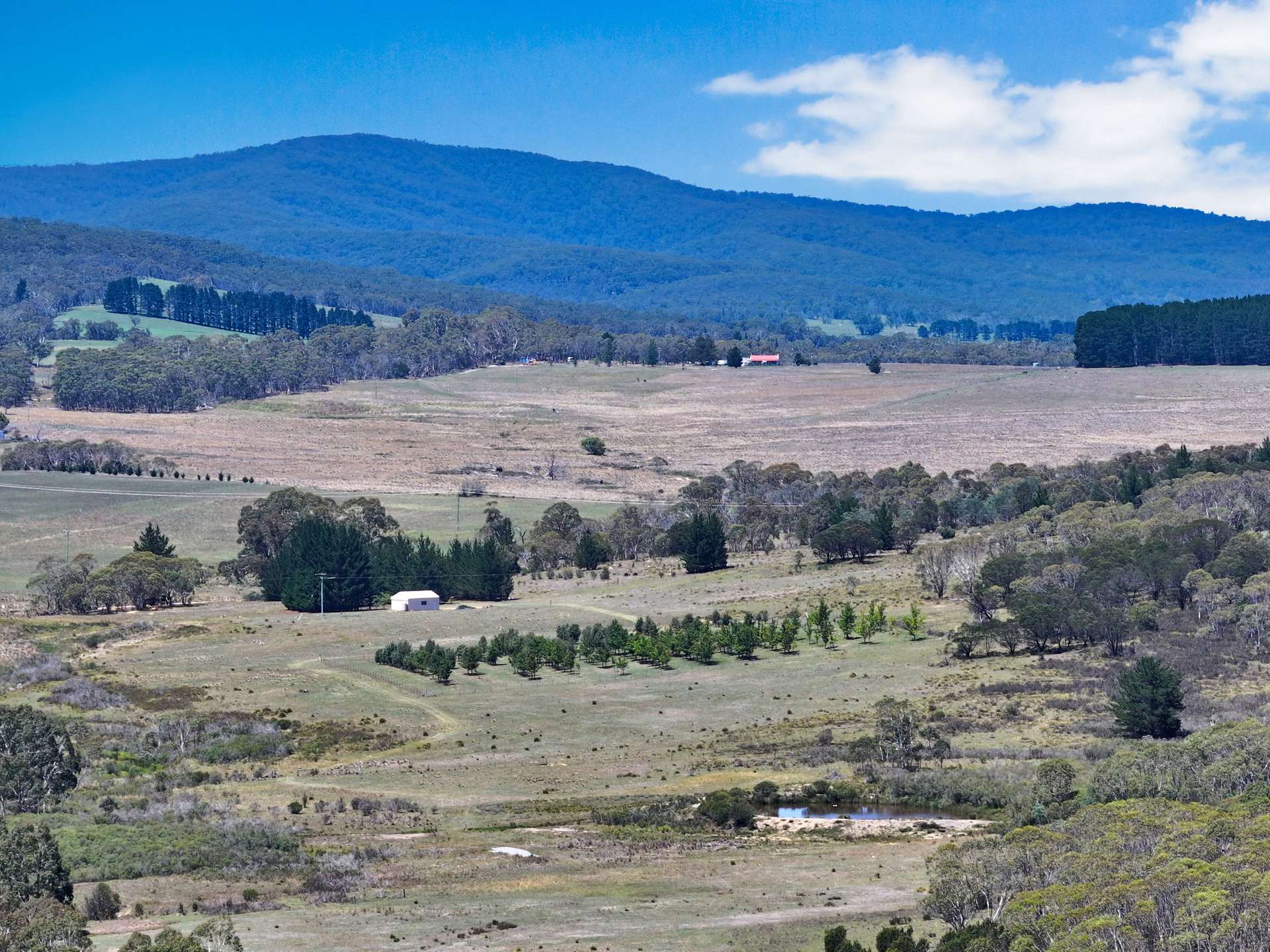760 Wallaces Gap Road, Braidwood For Sale by Farmbuy.com - image 6