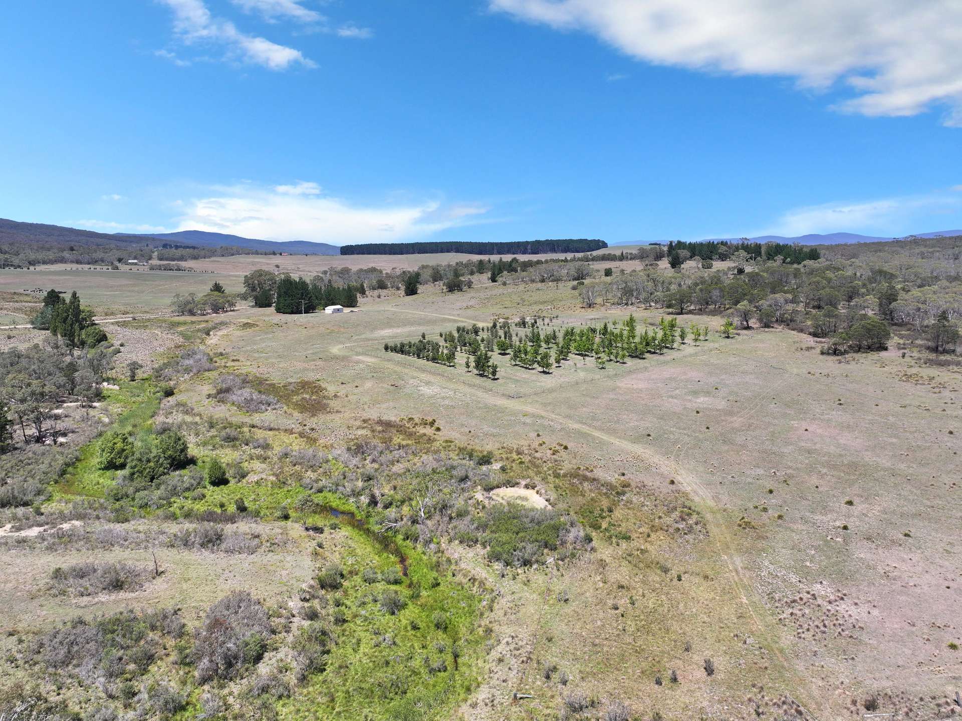 760 Wallaces Gap Road, Braidwood For Sale by Farmbuy.com - image 16