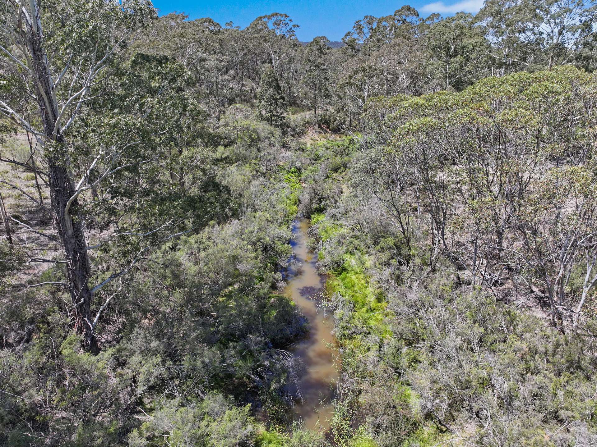 760 Wallaces Gap Road, Braidwood For Sale by Farmbuy.com - image 11