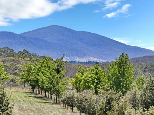 760 Wallaces Gap Road, Braidwood NSW 2622