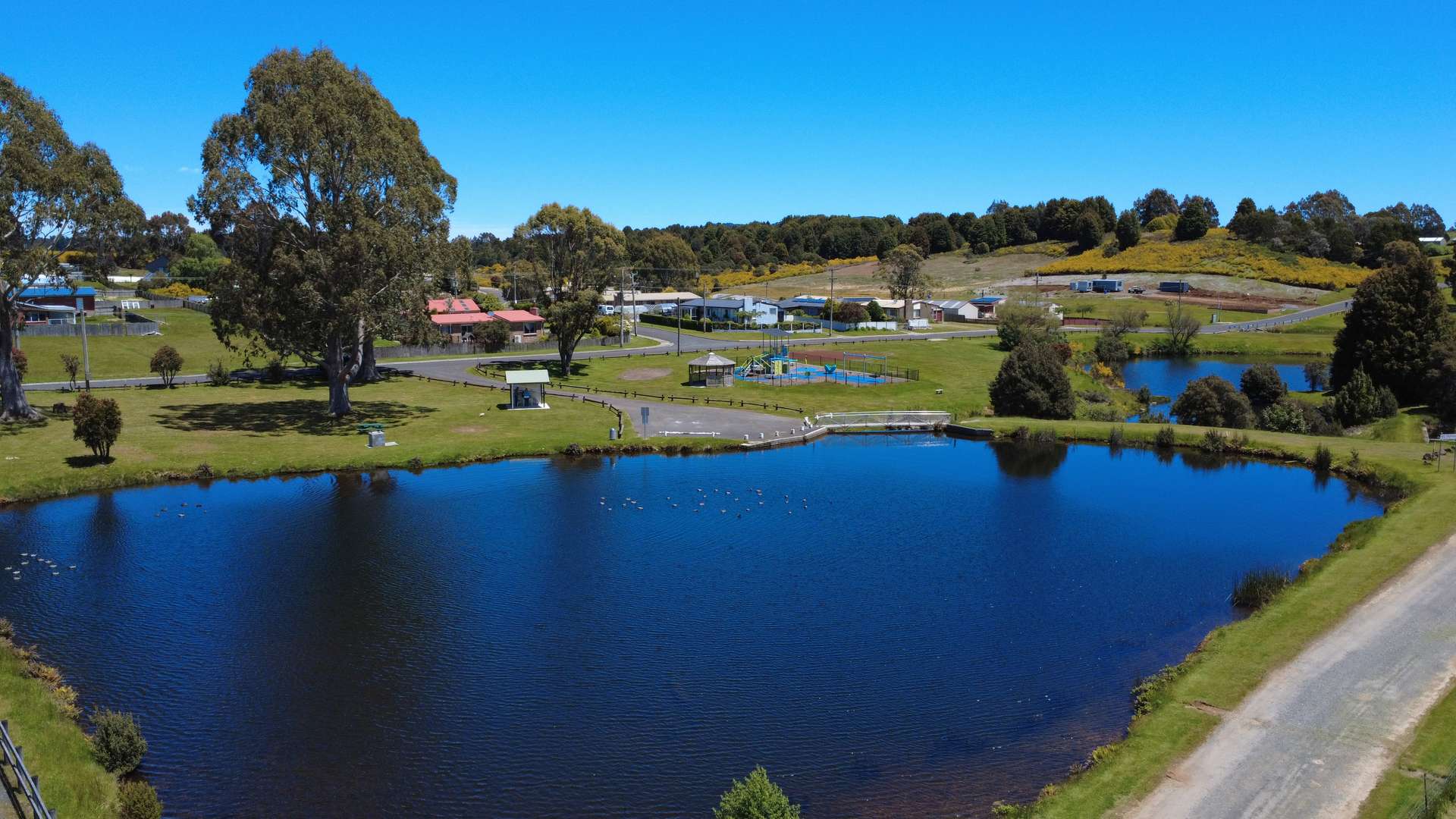 61 Sprent Street West, Waratah Sold by Farmbuy.com - image 3