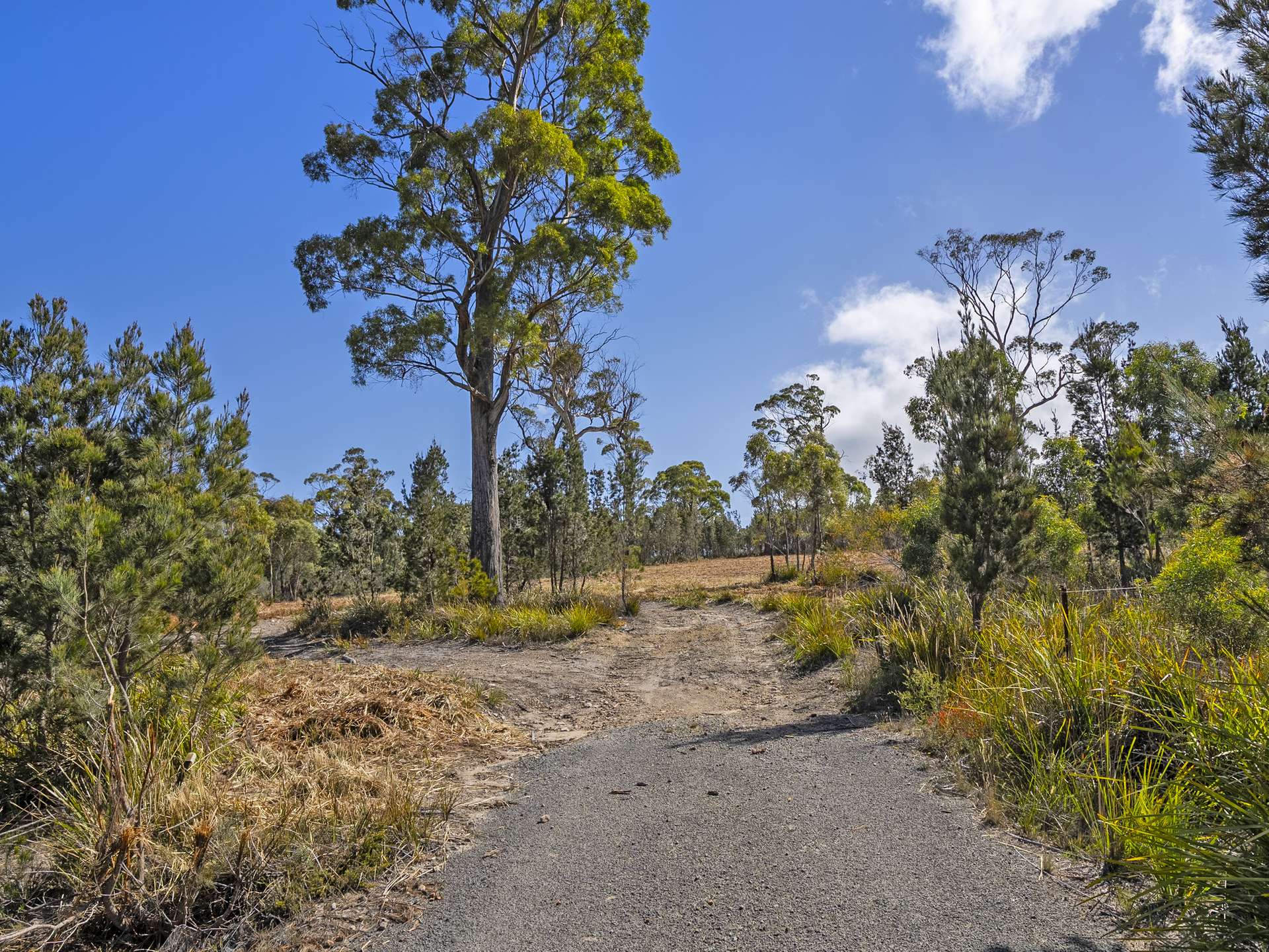 92B Barton Avenue, Triabunna For Sale by Farmbuy.com - image 12
