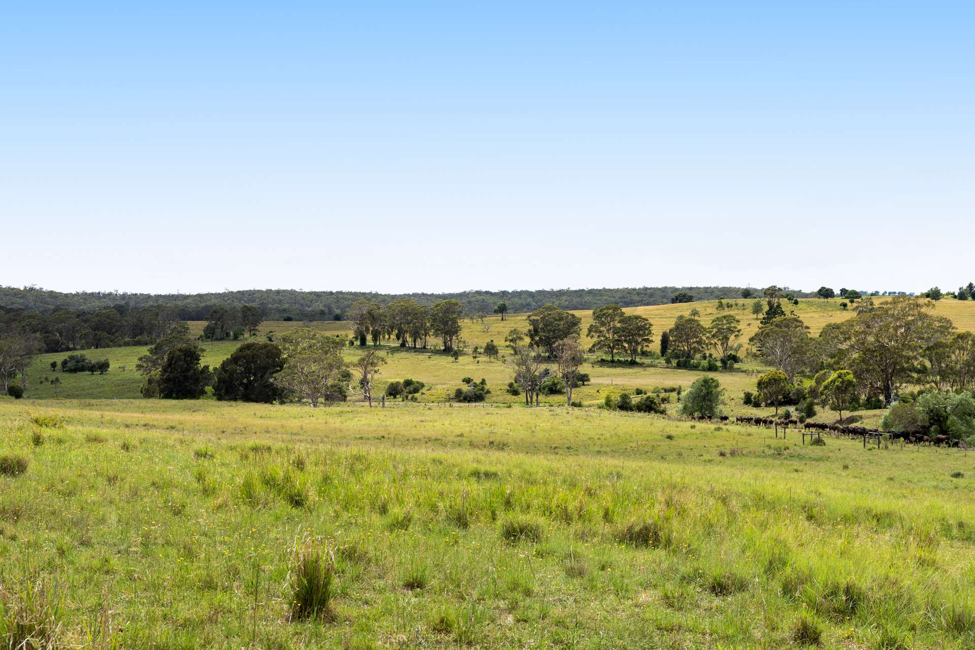 138 Djuan Road, Crows Nest Sold by Farmbuy.com - image 15